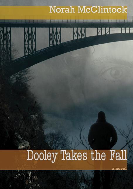 Vorderes Coverbild Dooley Takes the Fall