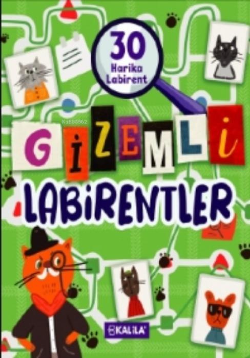 Vorderes Coverbild Gizemli Labirentler