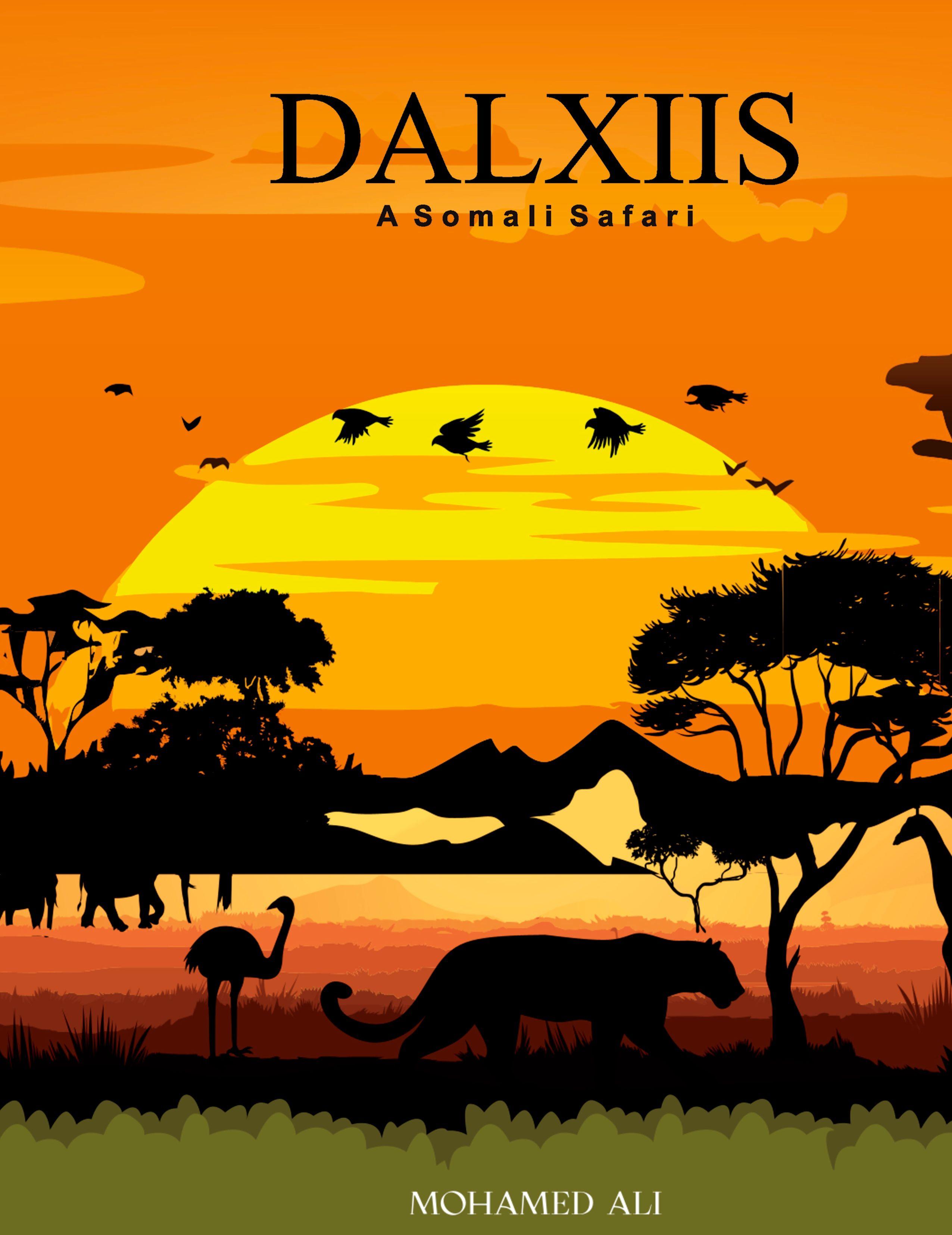 Vorderes Coverbild DALXIIS