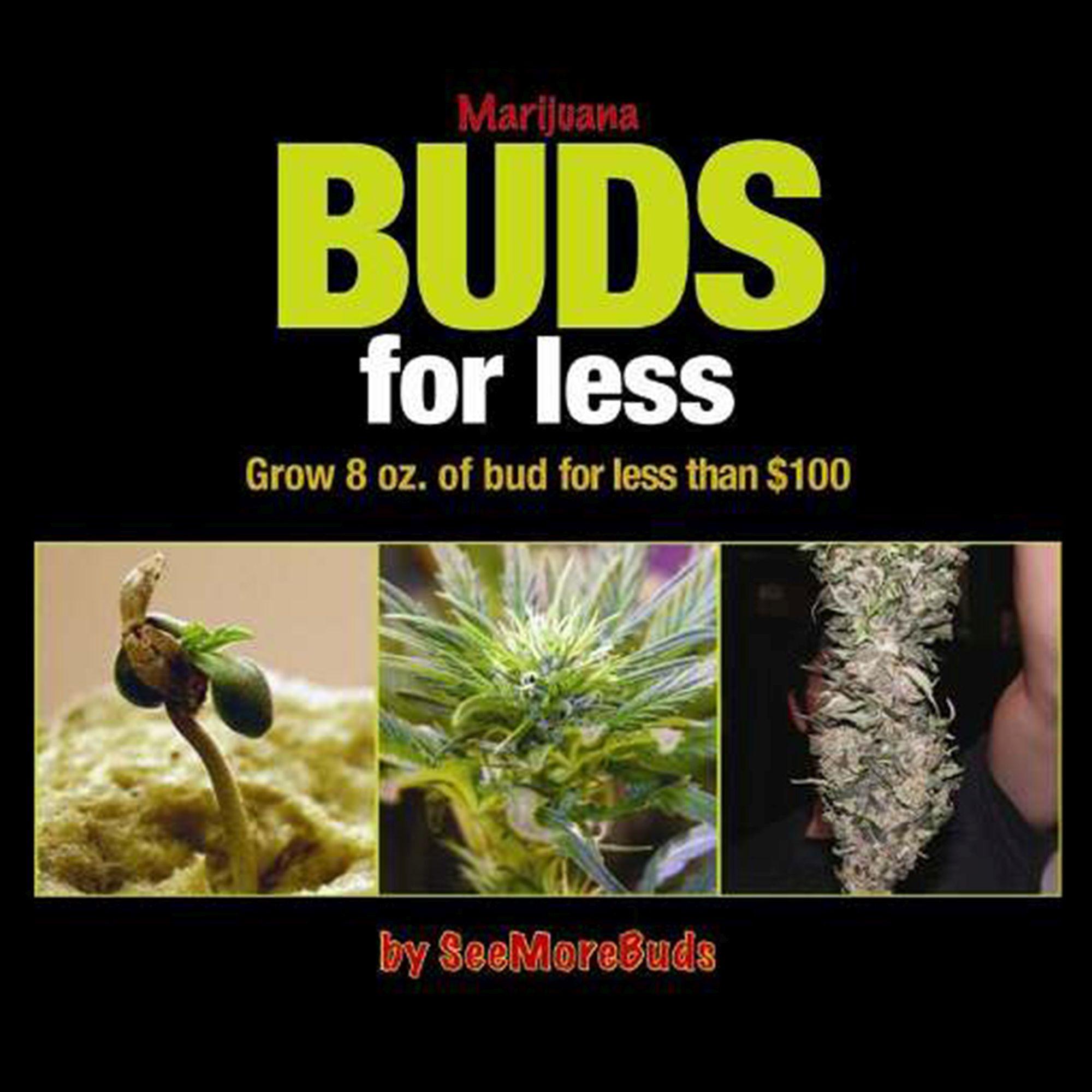 Vorderes Coverbild Marijuana Buds for Less