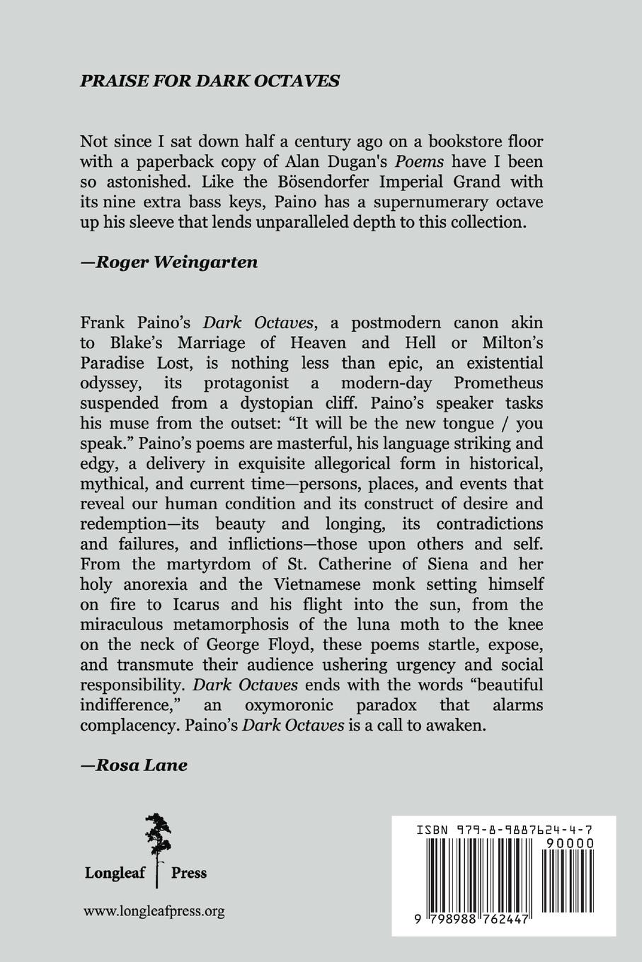 Rückseitencover Dark Octaves