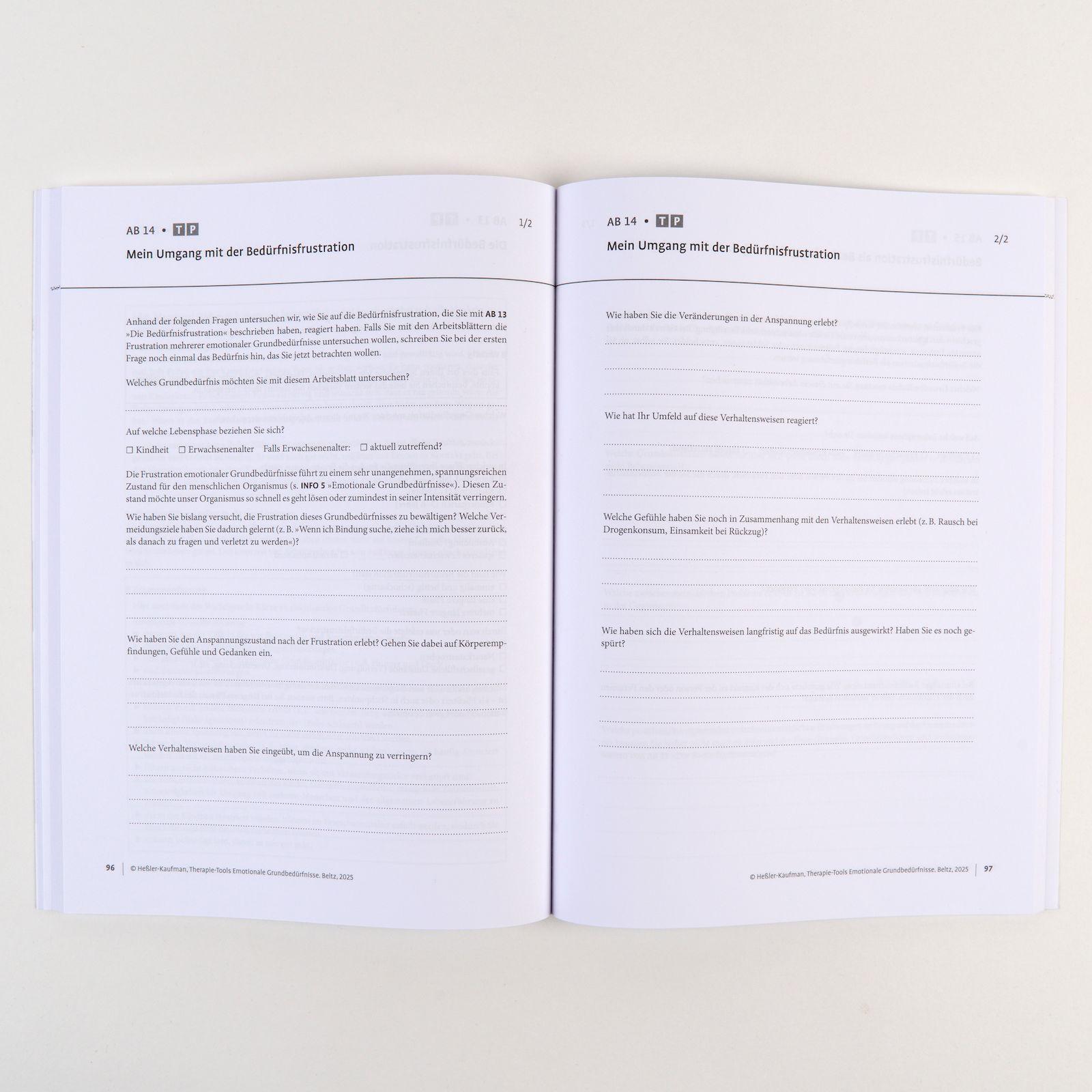 Beispielinhalt (Bild) Therapie-Tools Emotionale Grundbedürfnisse