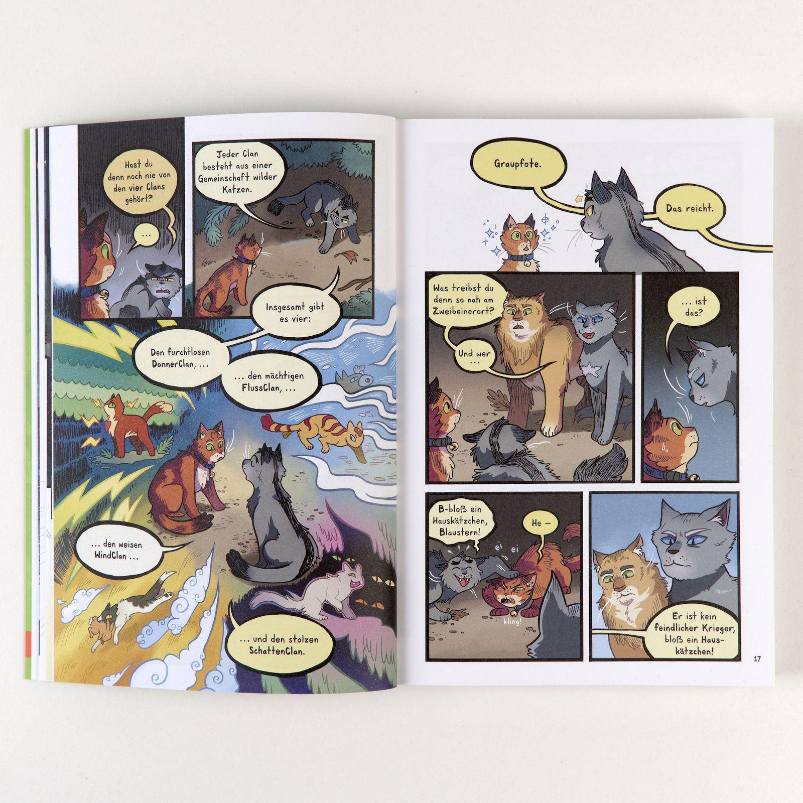 Beispielinhalt (Bild) Warrior Cats - Die Prophezeiungen beginnen