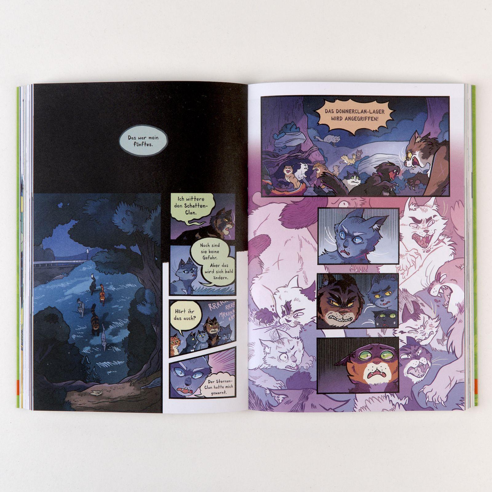 Beispielinhalt (Bild) Warrior Cats - Die Prophezeiungen beginnen