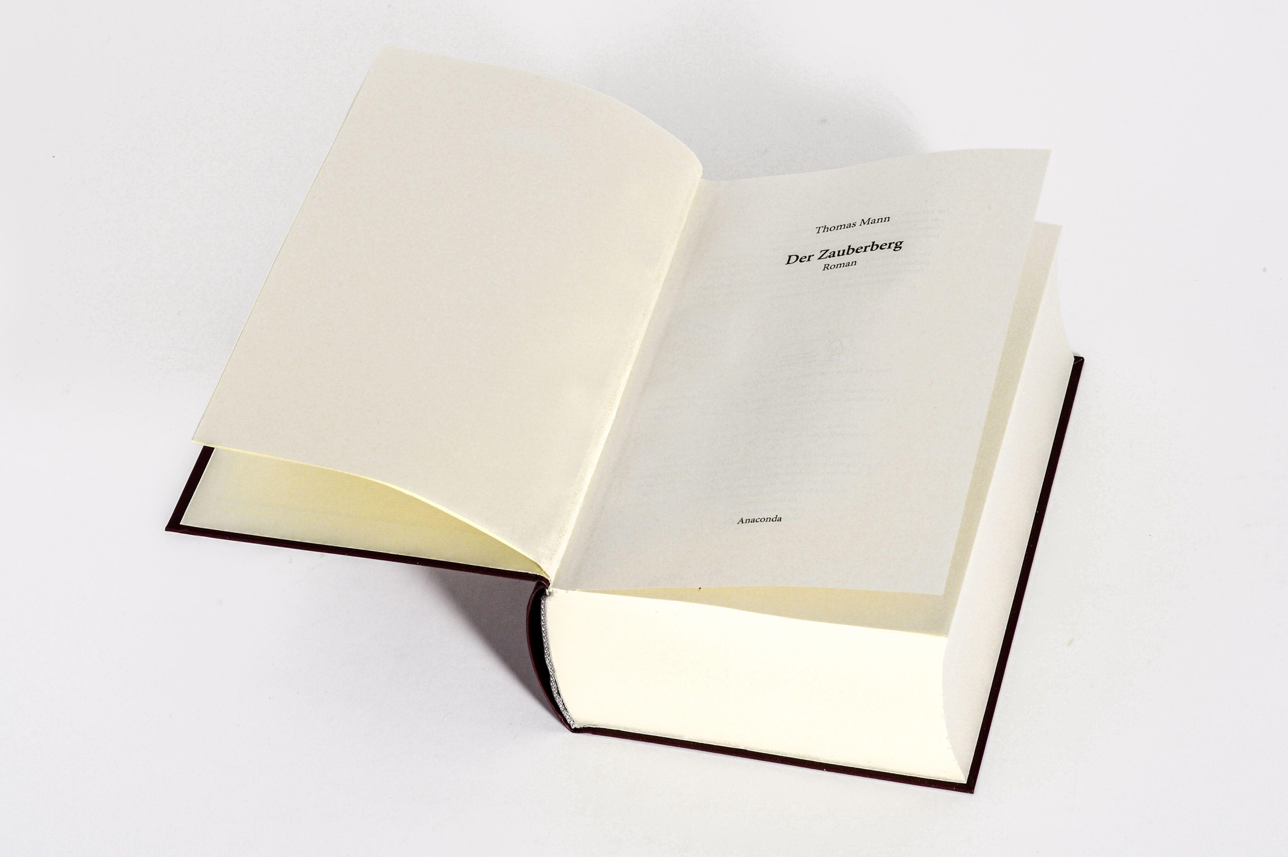 Beispielinhalt (Bild) Der Zauberberg. Roman