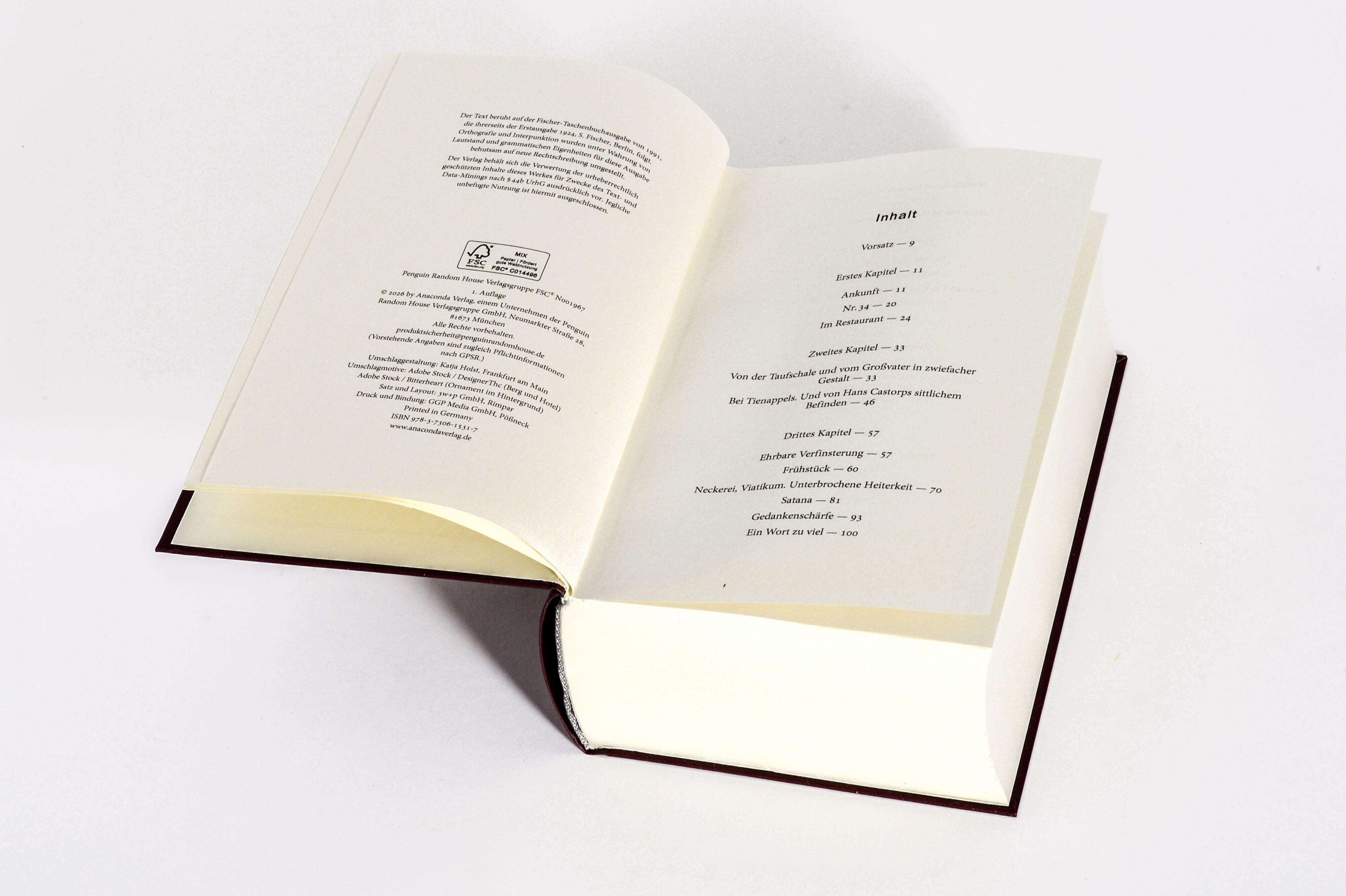 Beispielinhalt (Bild) Der Zauberberg. Roman