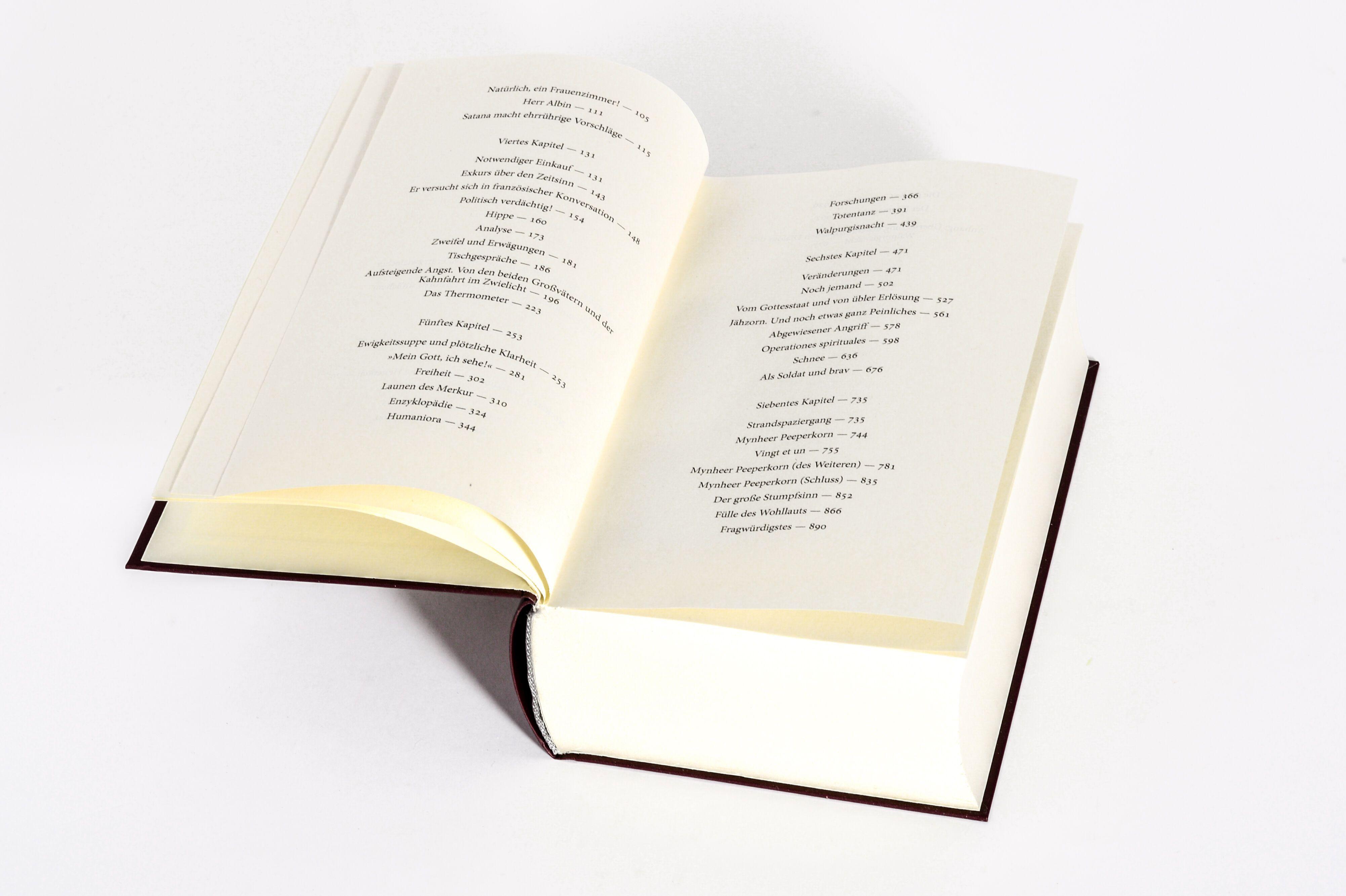 Beispielinhalt (Bild) Der Zauberberg. Roman