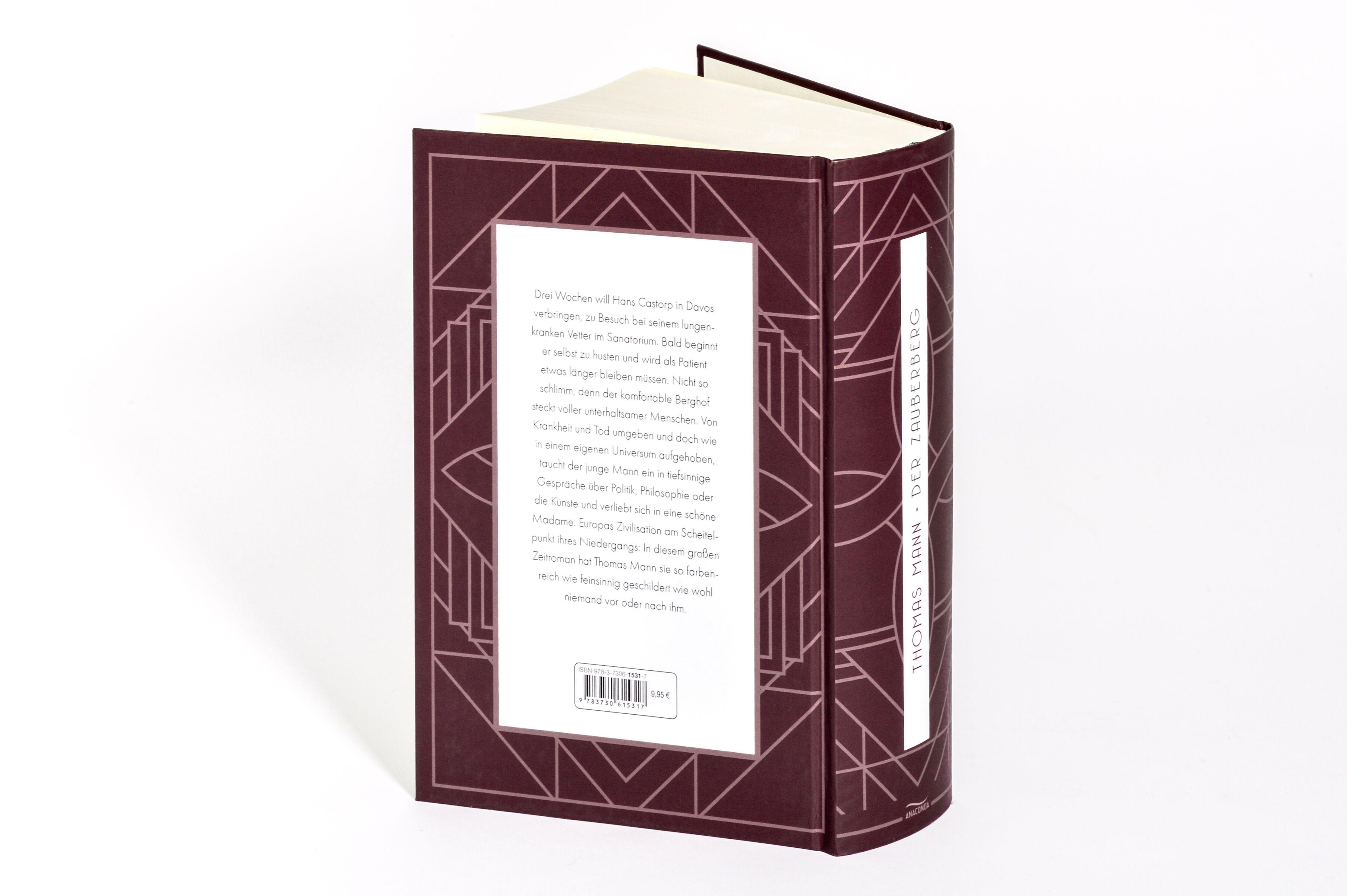 Beispielinhalt (Bild) Der Zauberberg. Roman