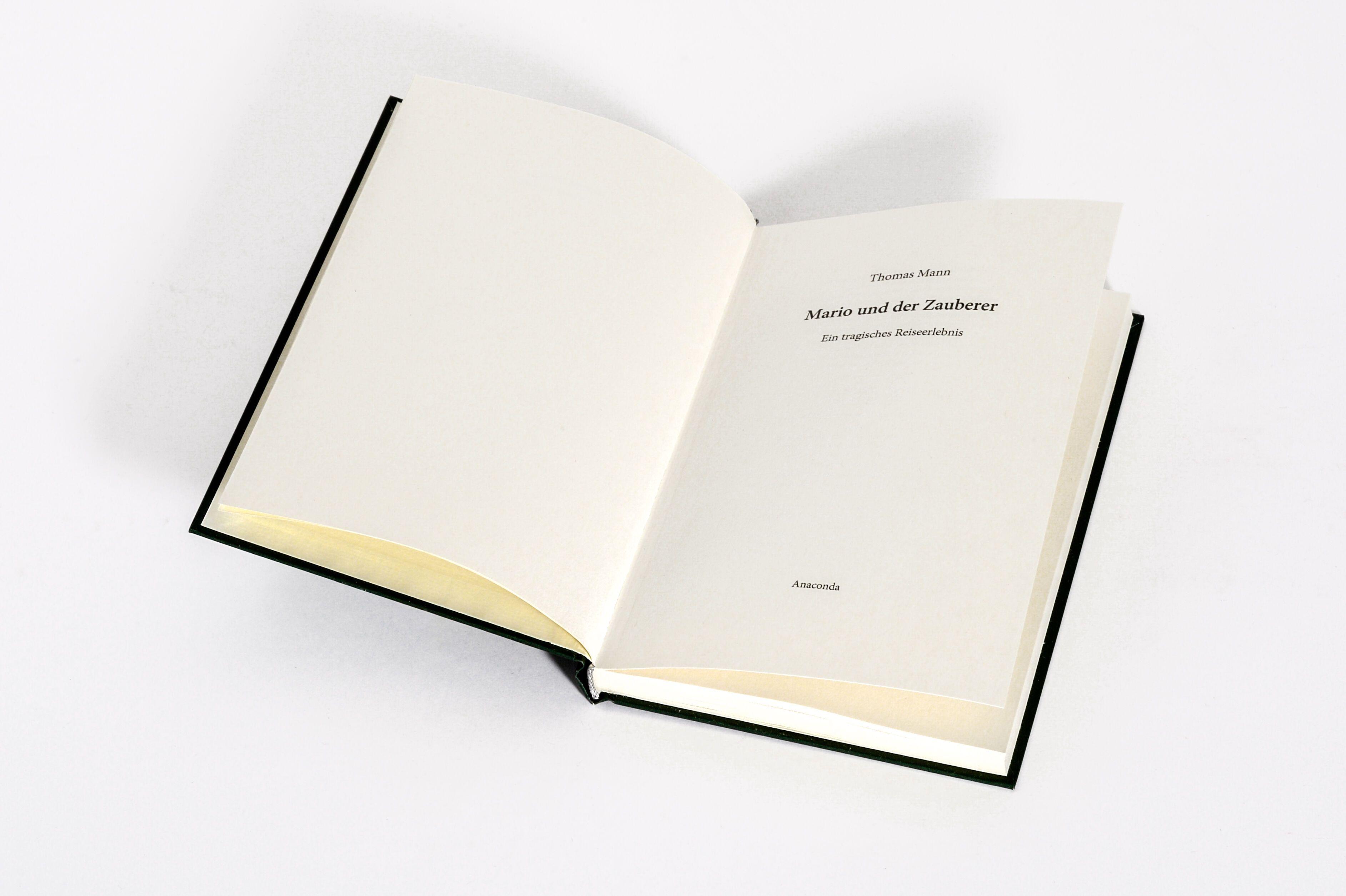 Beispielinhalt (Bild) Mario und der Zauberer