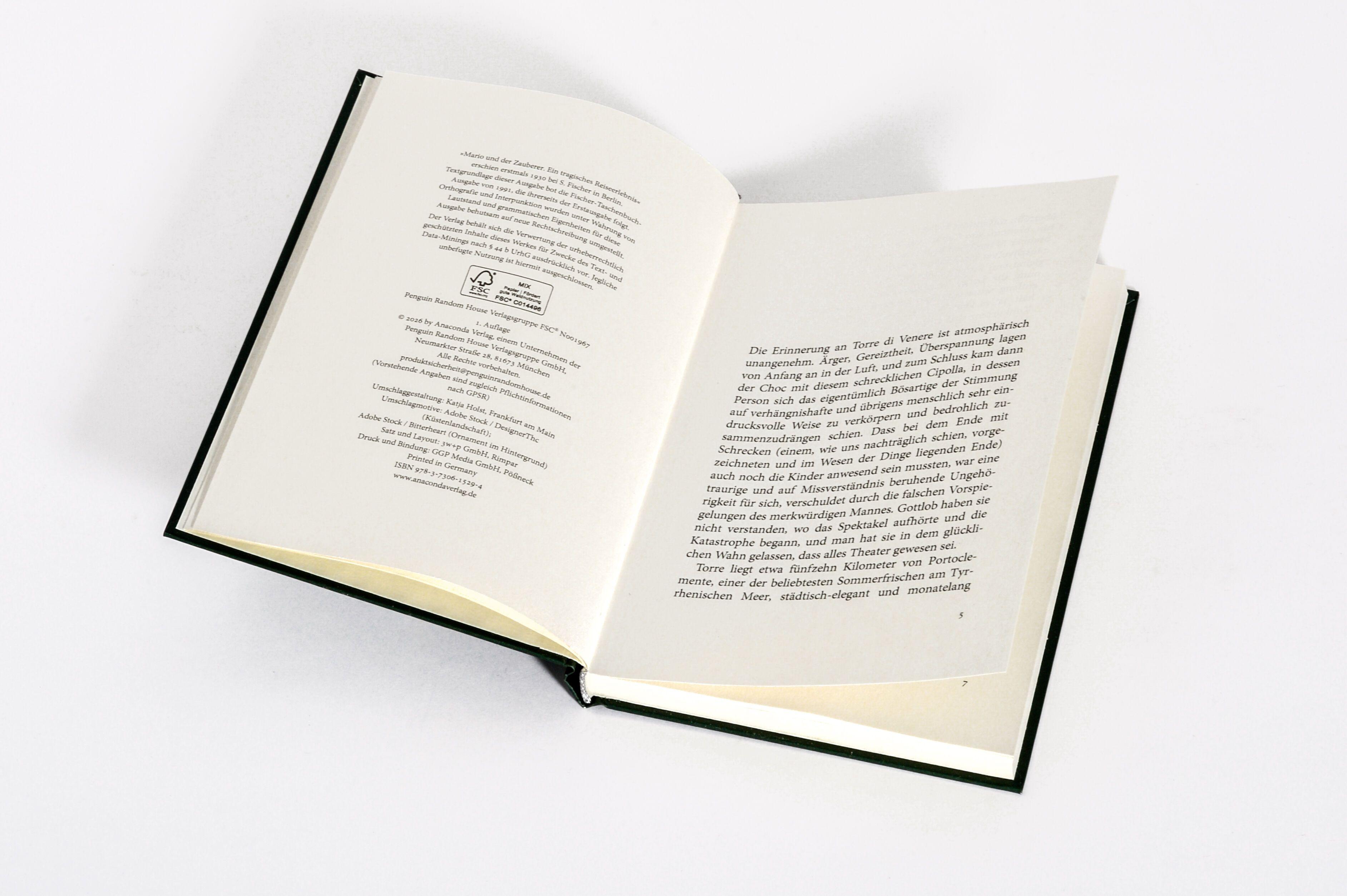 Beispielinhalt (Bild) Mario und der Zauberer