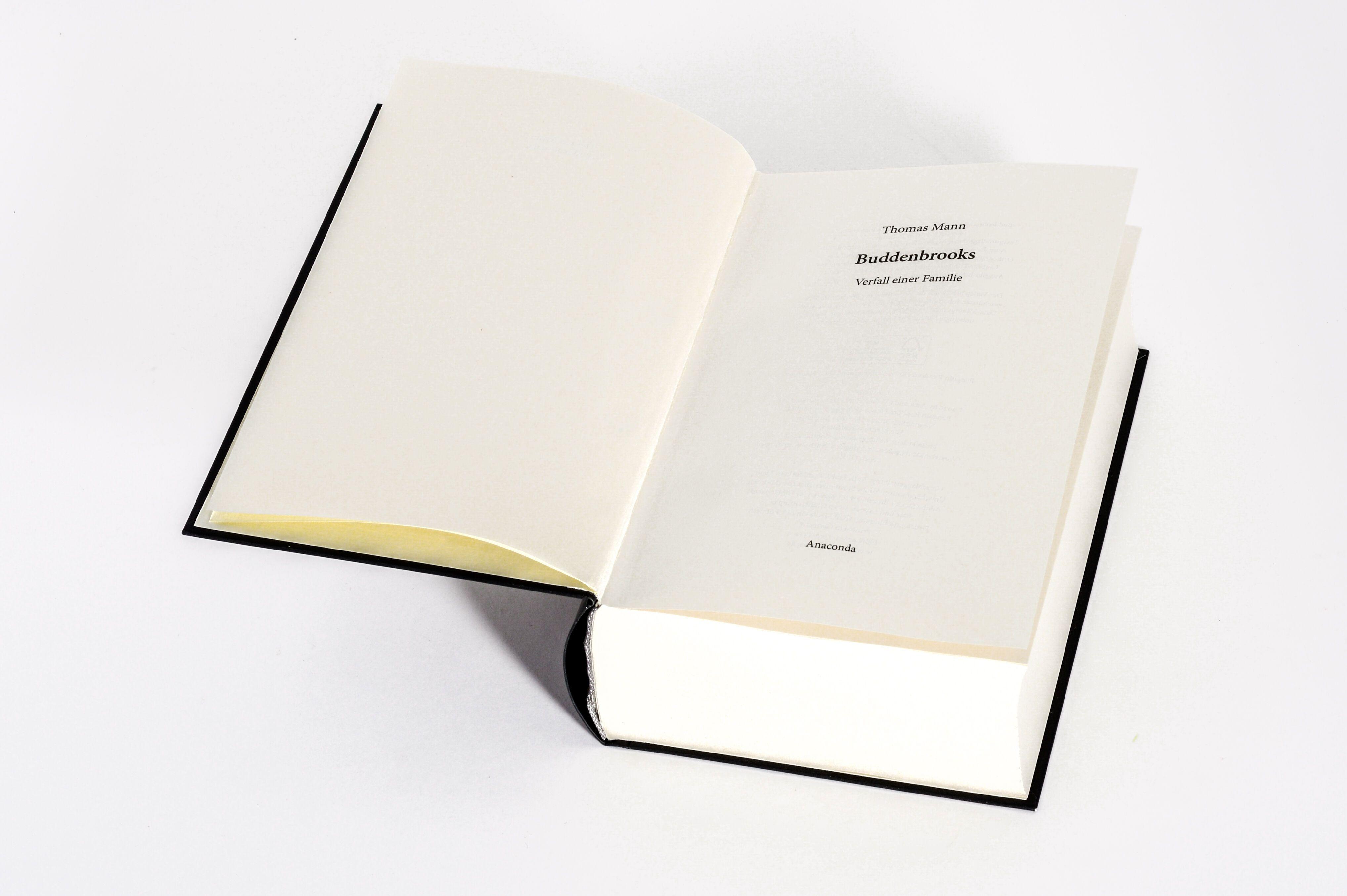 Beispielinhalt (Bild) Buddenbrooks. Verfall einer Familie. Roman