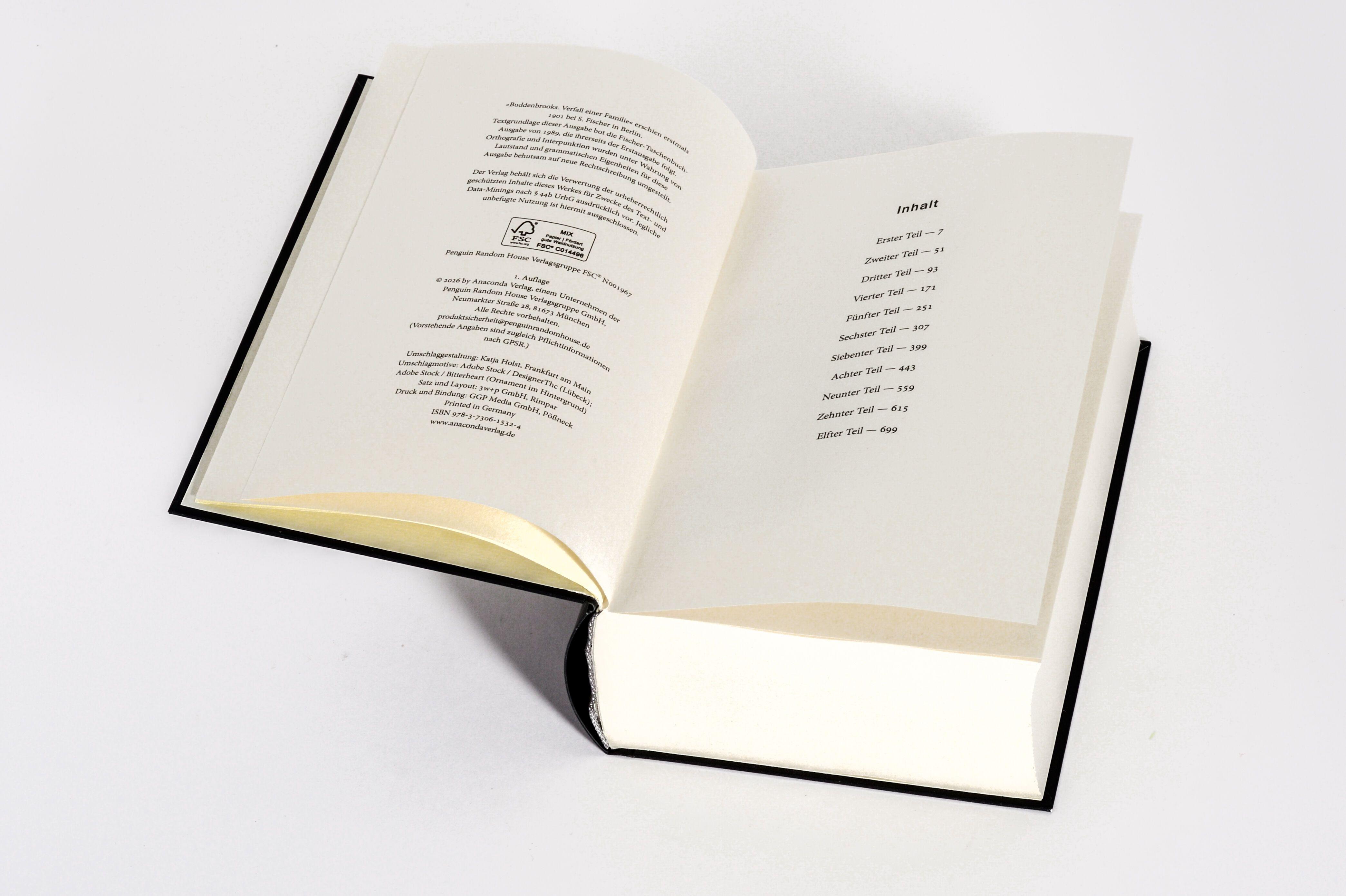 Beispielinhalt (Bild) Buddenbrooks. Verfall einer Familie. Roman