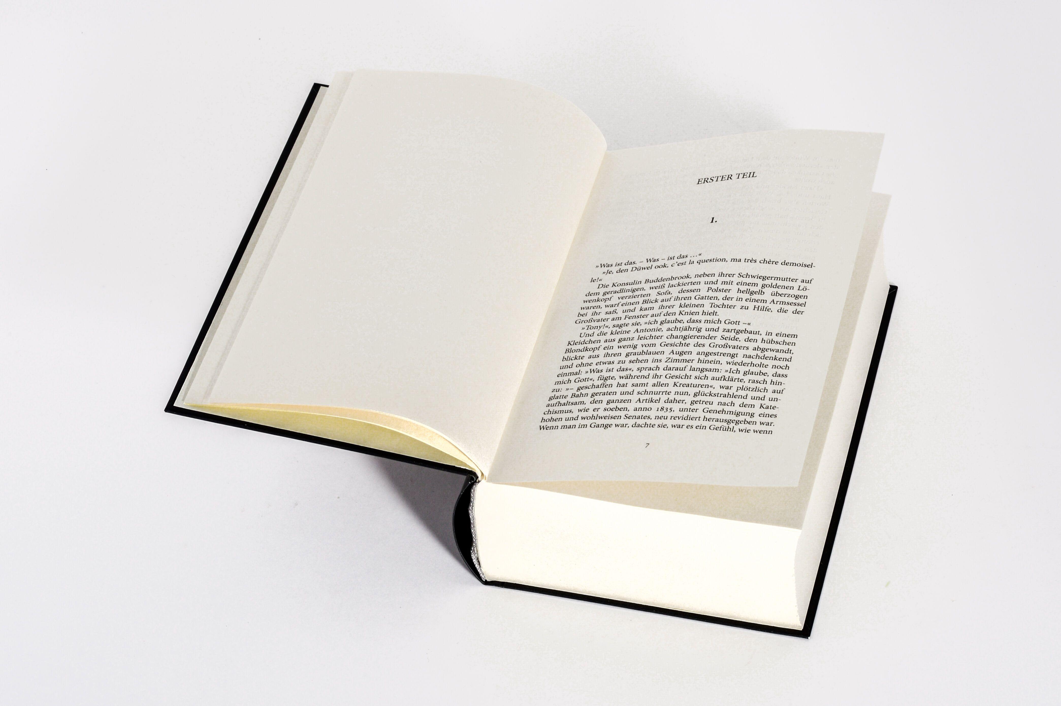 Beispielinhalt (Bild) Buddenbrooks. Verfall einer Familie. Roman