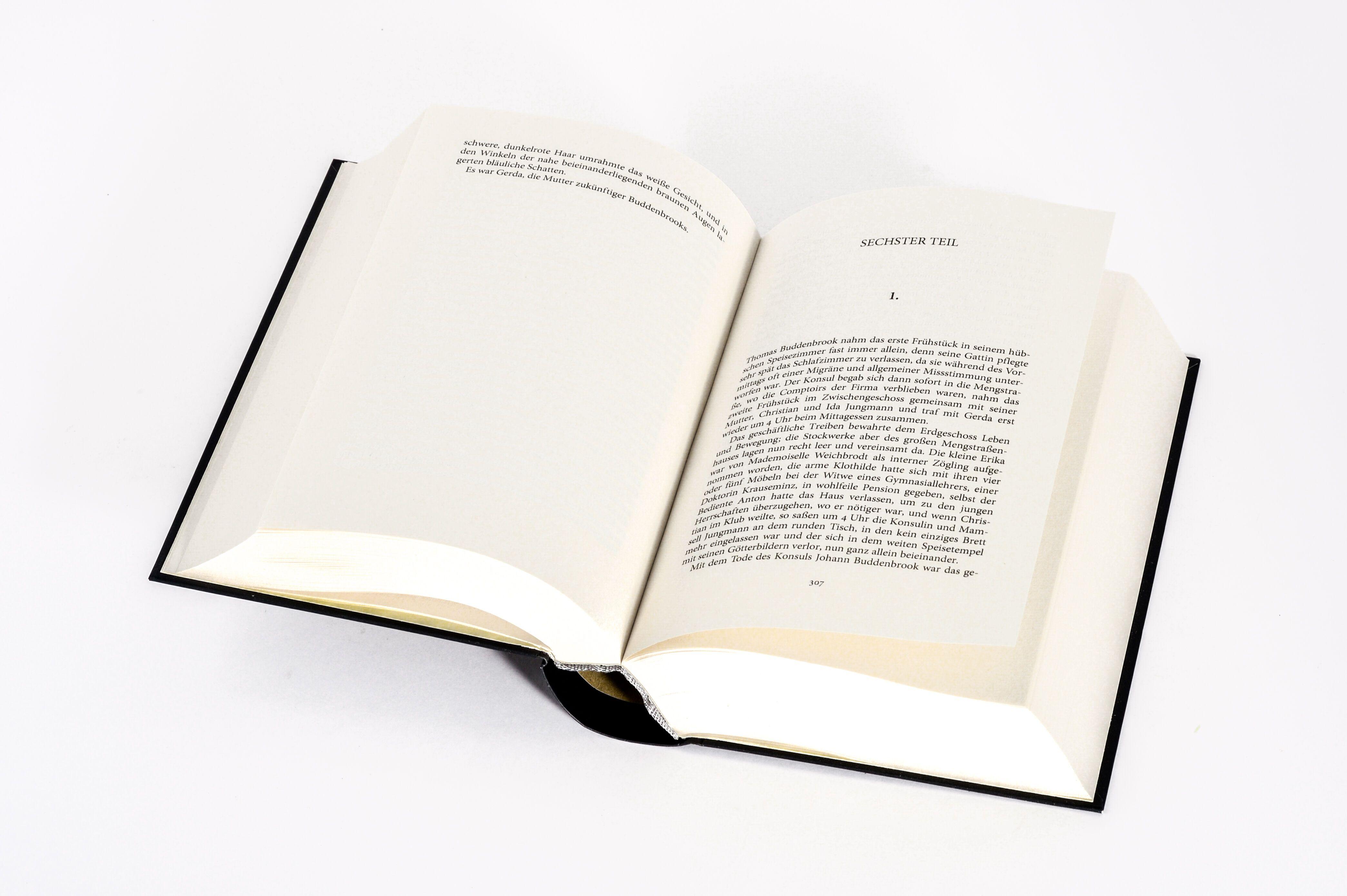 Beispielinhalt (Bild) Buddenbrooks. Verfall einer Familie. Roman