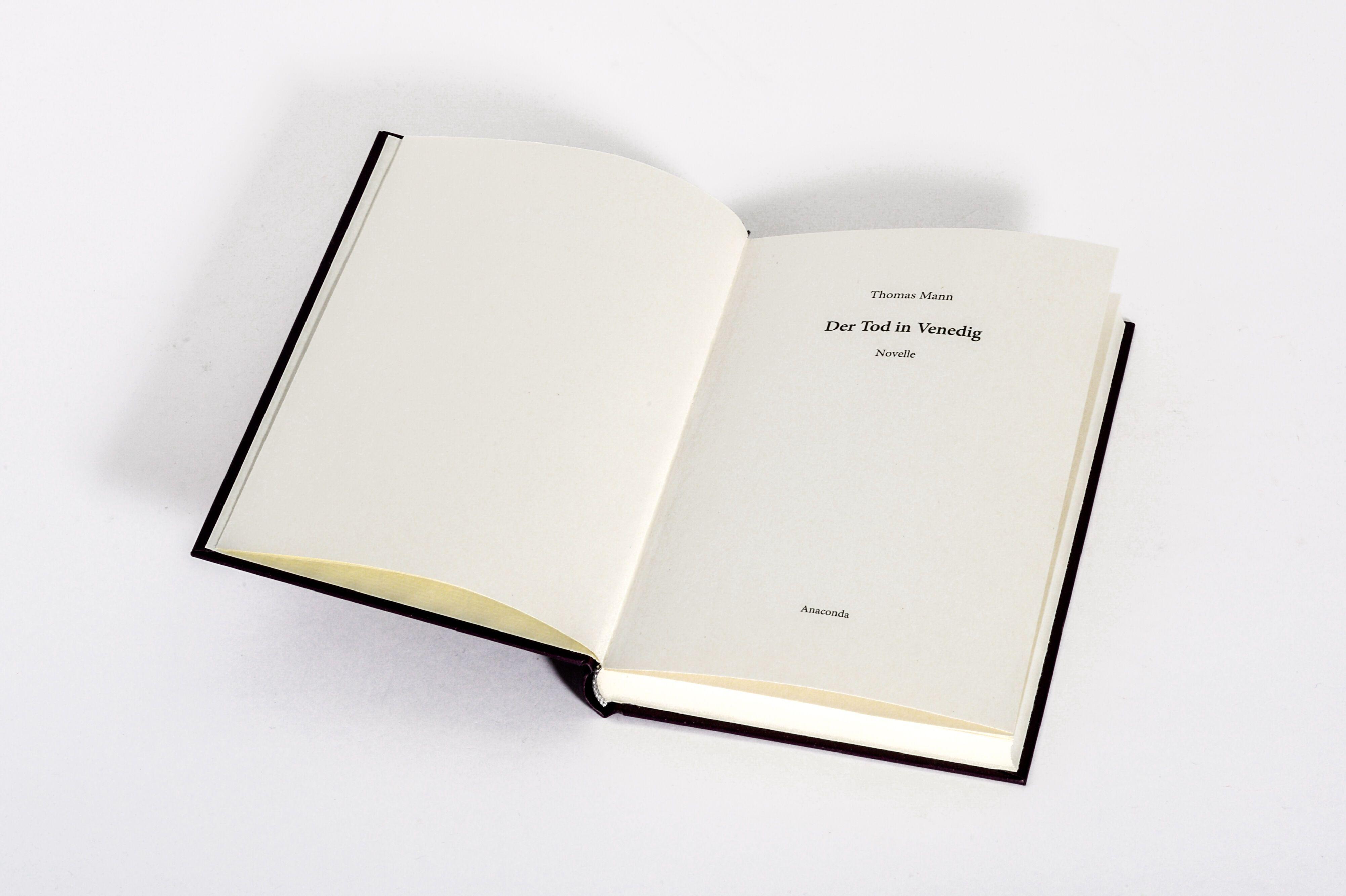 Beispielinhalt (Bild) Der Tod in Venedig