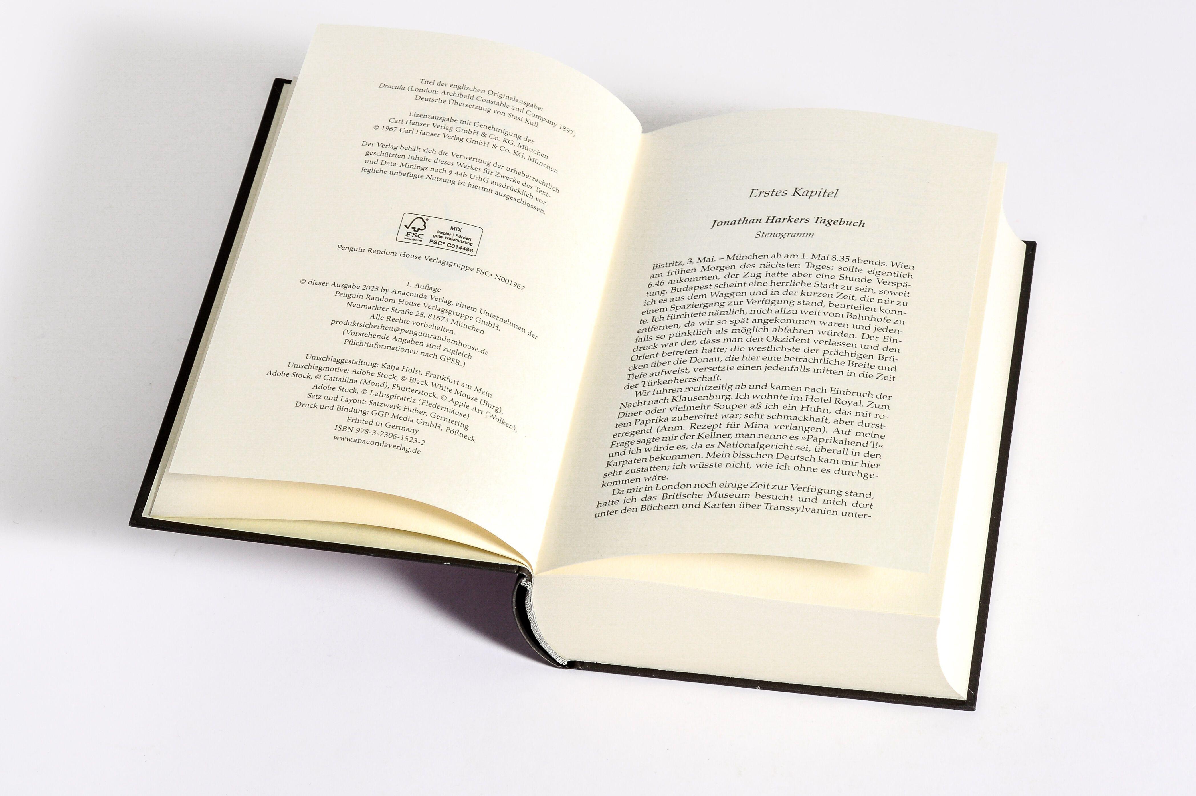 Beispielinhalt (Bild) Dracula. Ein Vampirroman