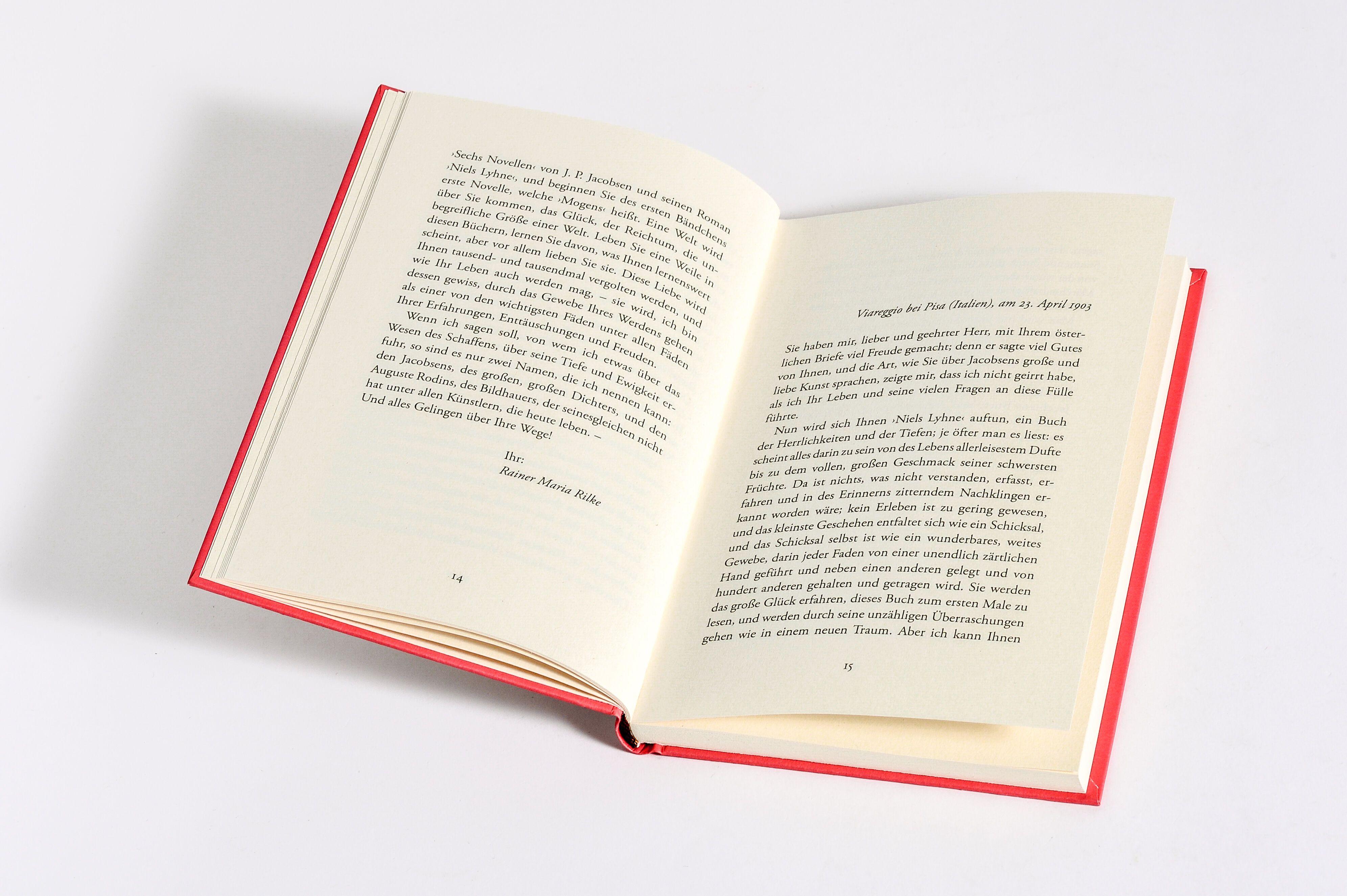 Beispielinhalt (Bild) Briefe an einen jungen Dichter