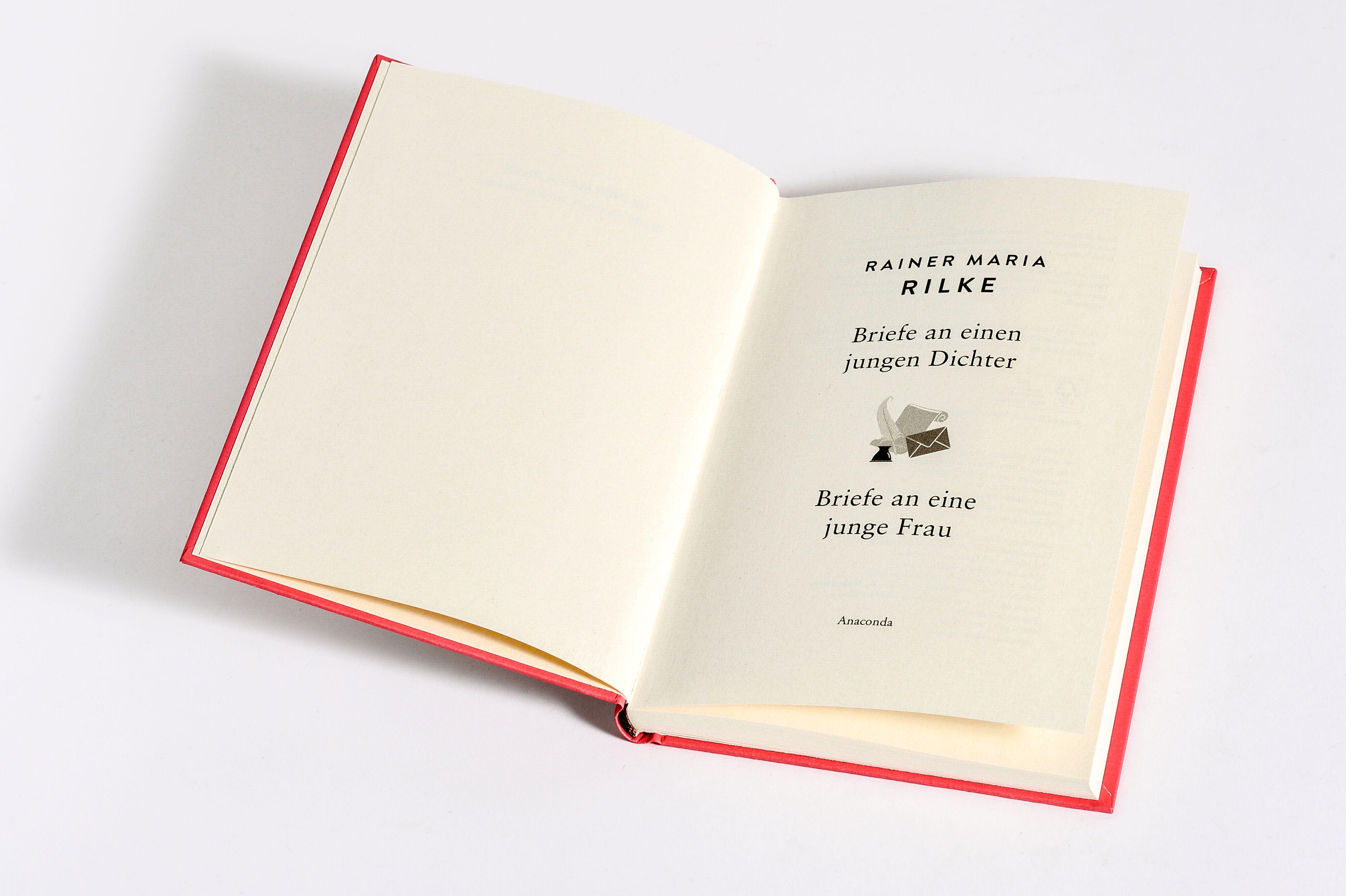 Beispielinhalt (Bild) Briefe an einen jungen Dichter