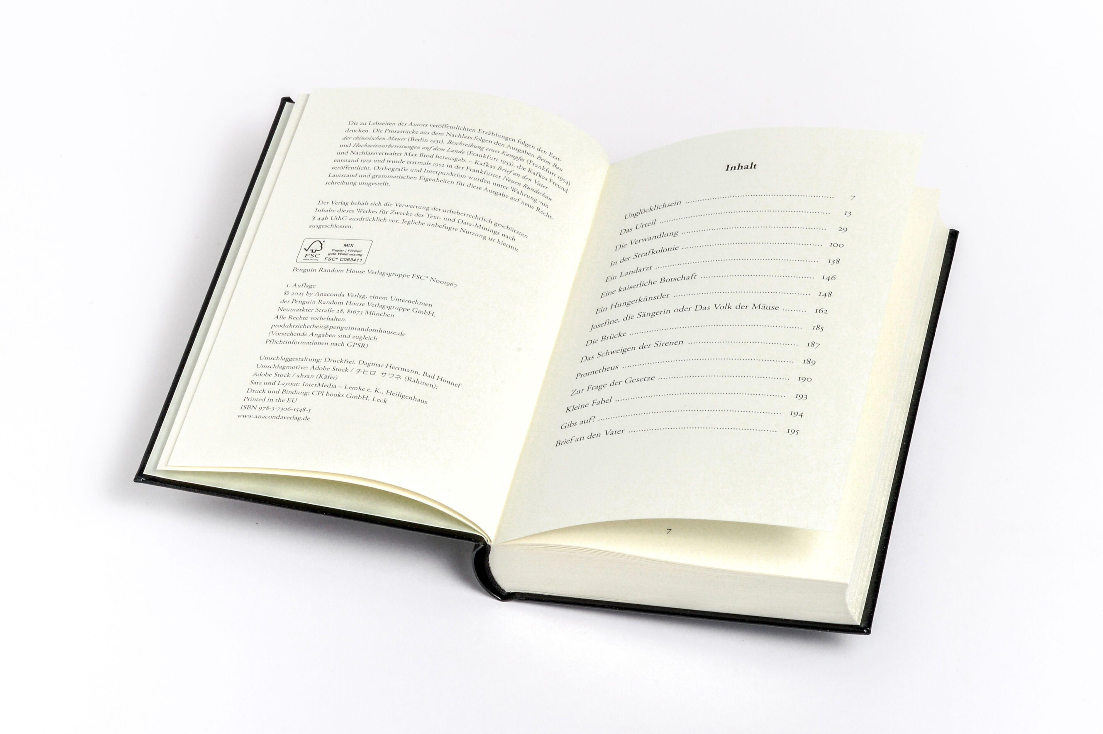 Beispielinhalt (Bild) Die Verwandlung und andere Prosa