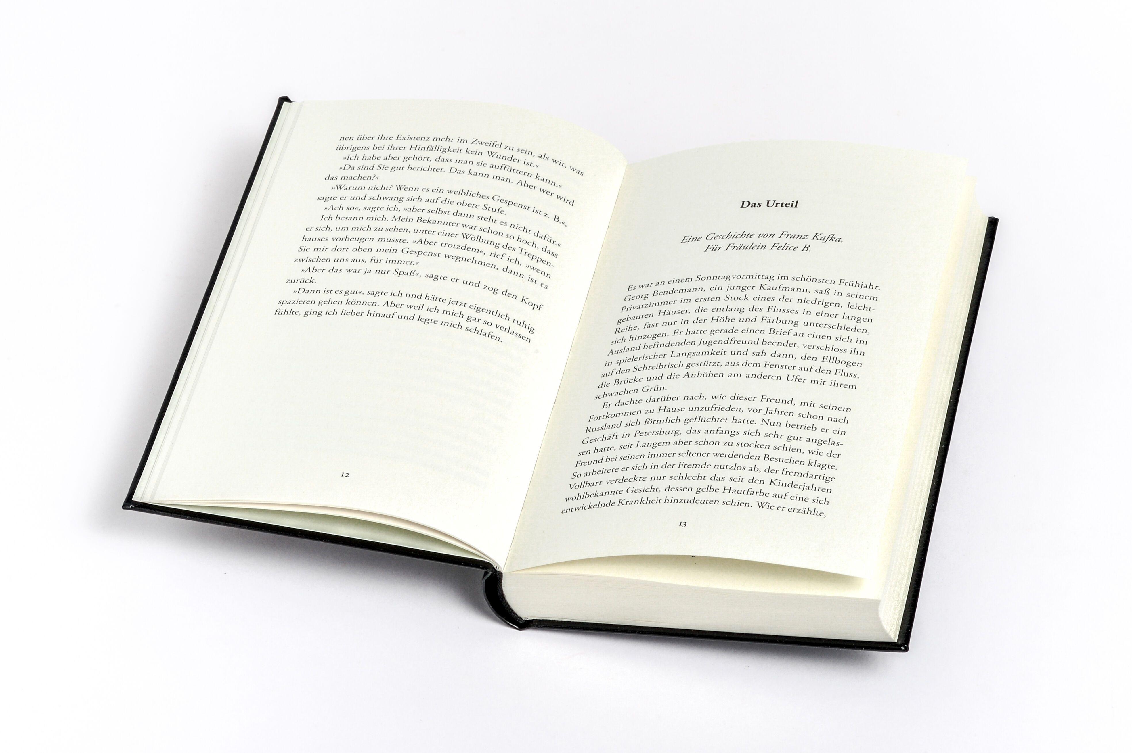 Beispielinhalt (Bild) Die Verwandlung und andere Prosa