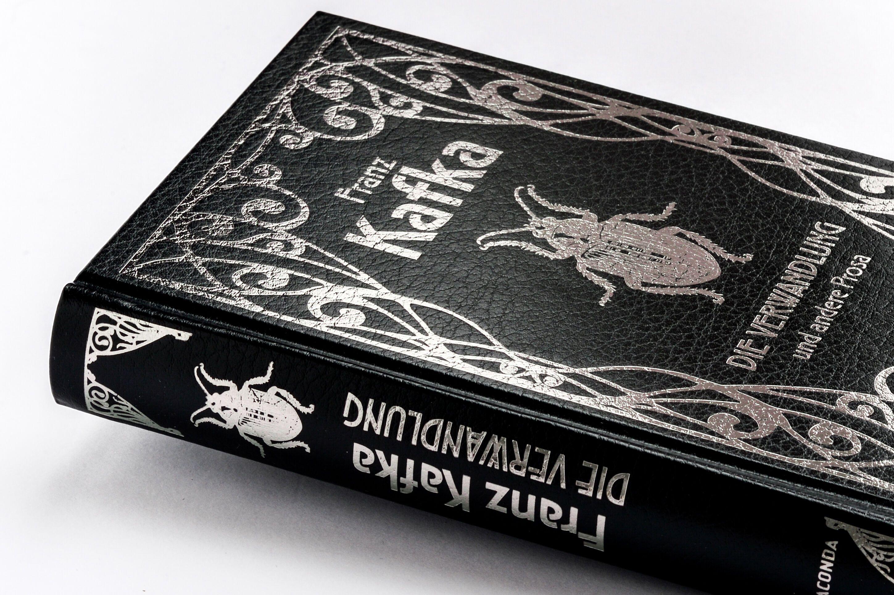 Beispielinhalt (Bild) Die Verwandlung und andere Prosa