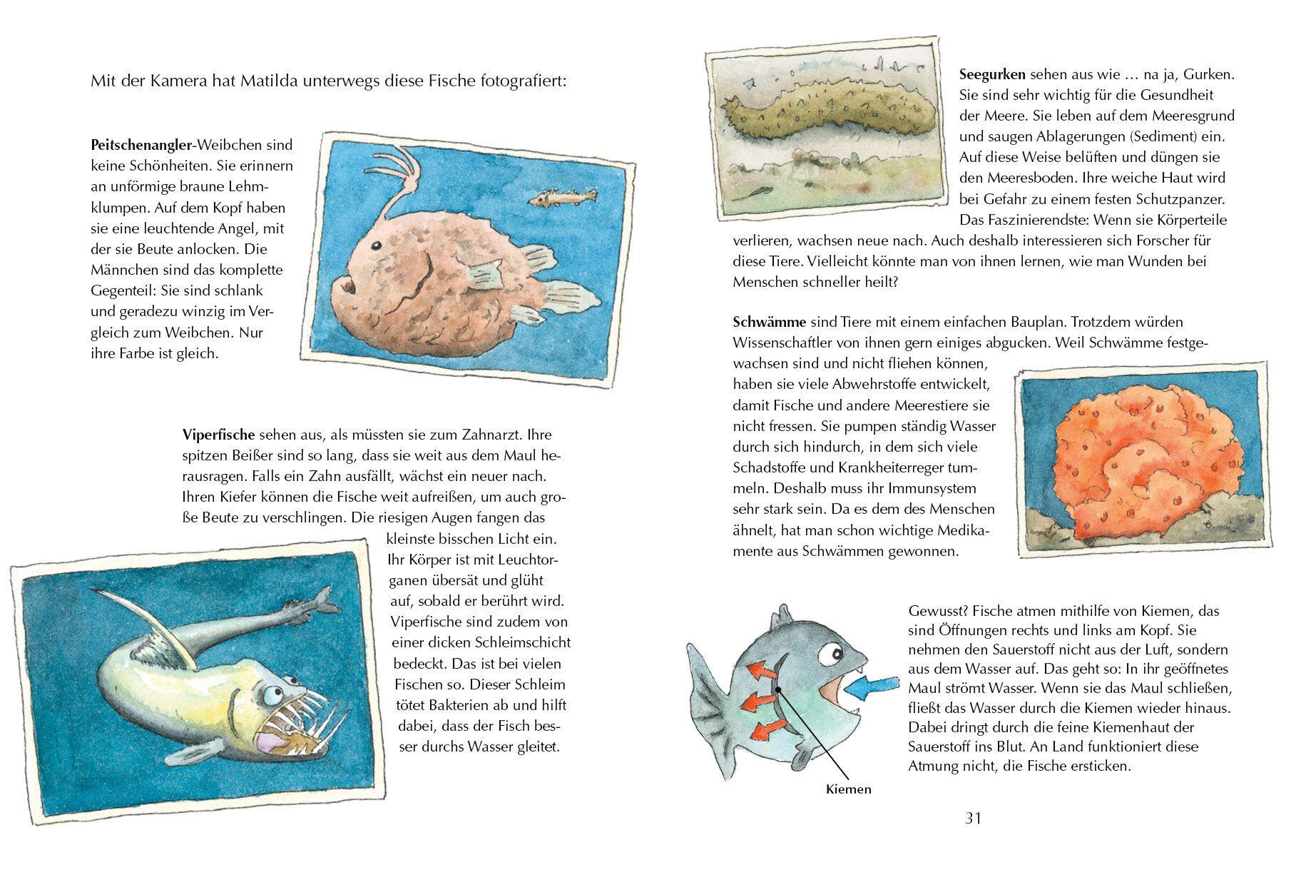 Beispielinhalt (Bild) Alles klar! Der kleine Drache Kokosnuss erforscht die Ozeane