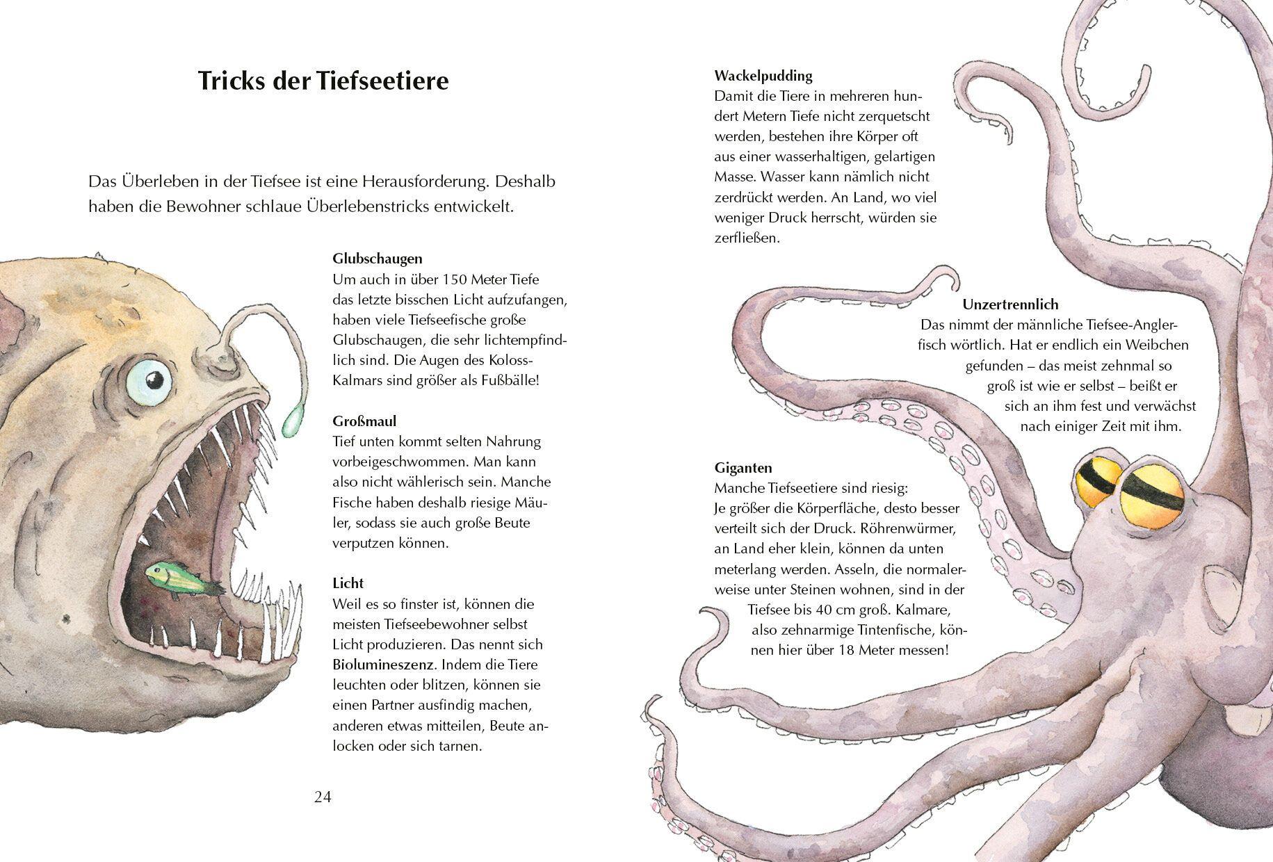 Beispielinhalt (Bild) Alles klar! Der kleine Drache Kokosnuss erforscht die Ozeane