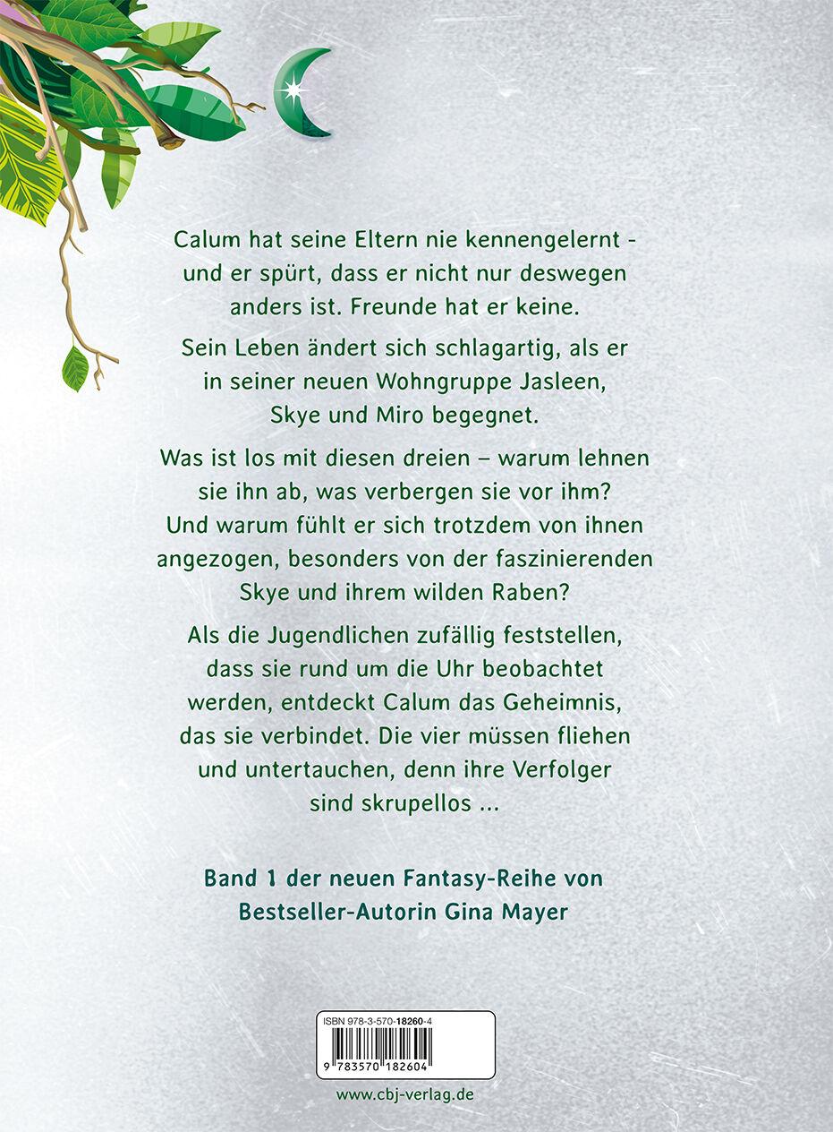 Beispielinhalt (Bild) Wilderland - Der Wald (Bd. 1)