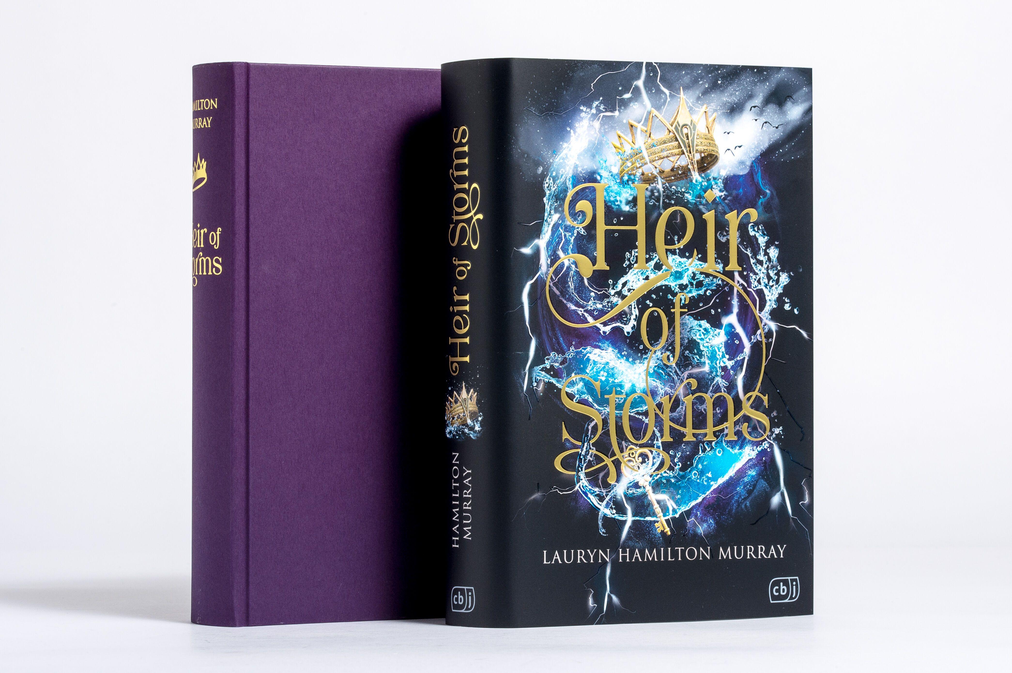 Beispielinhalt (Bild) Heir of Storms