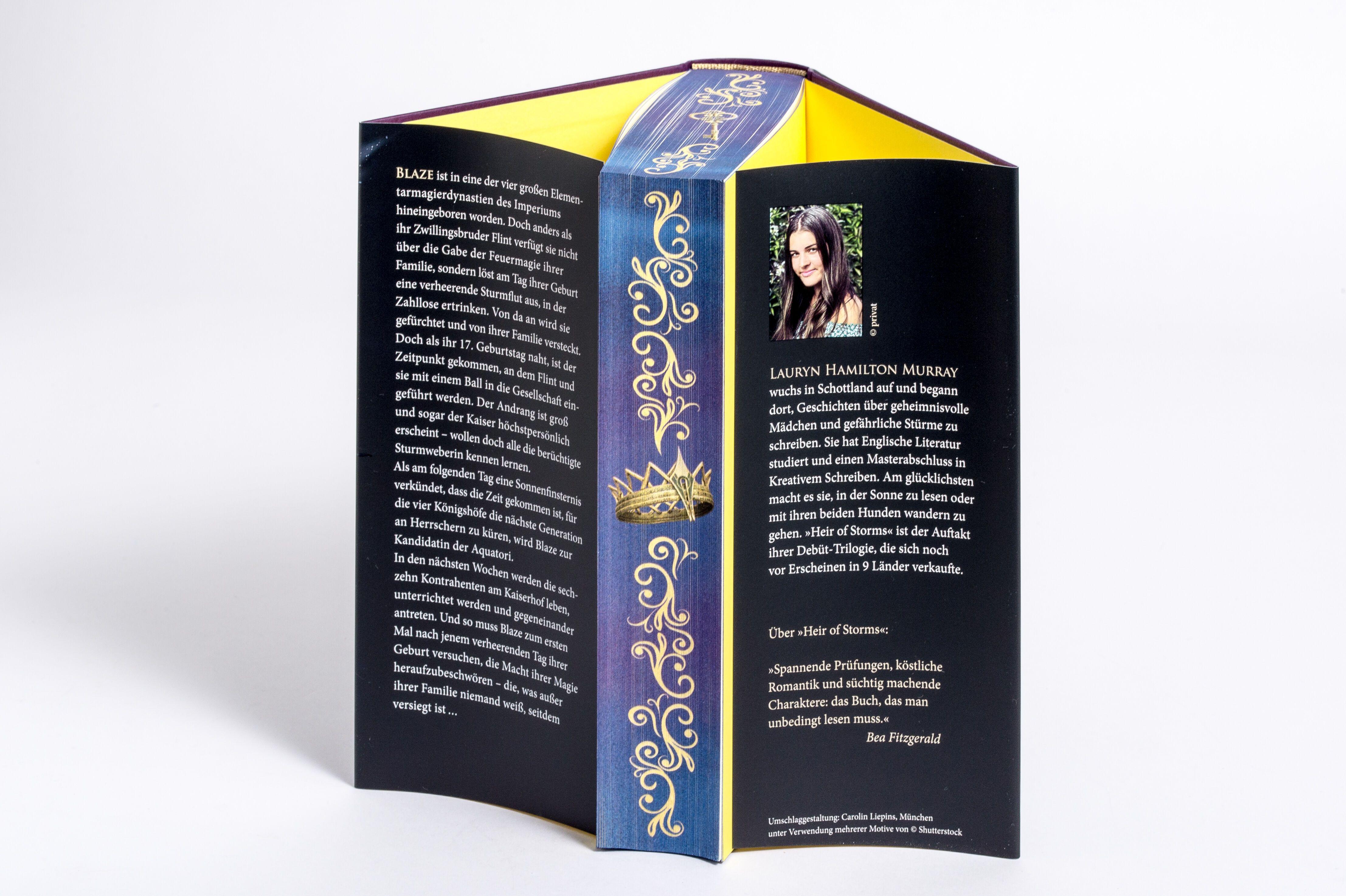 Beispielinhalt (Bild) Heir of Storms