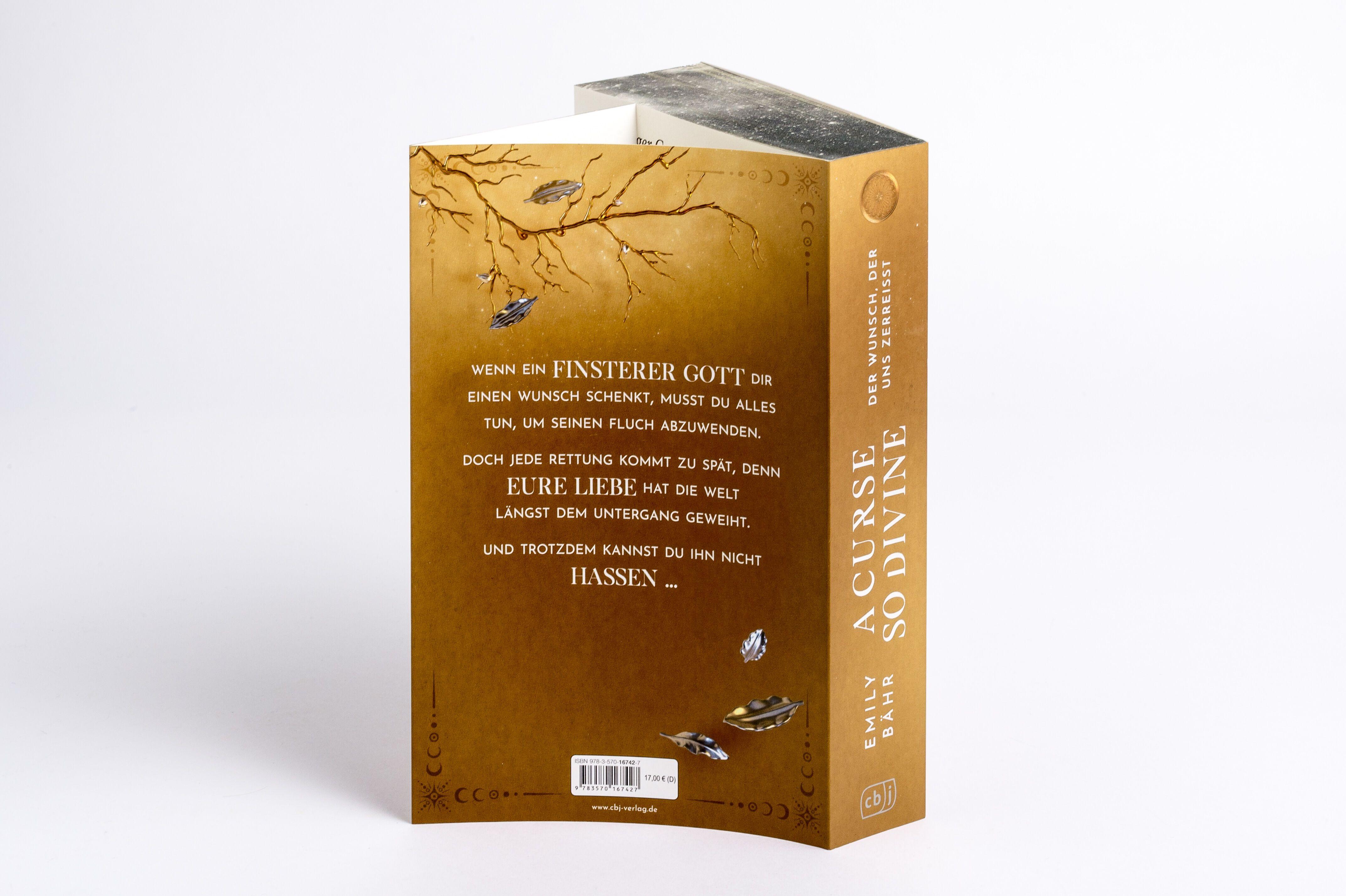 Beispielinhalt (Bild) A Curse so Divine - Der Wunsch, der uns zerreißt