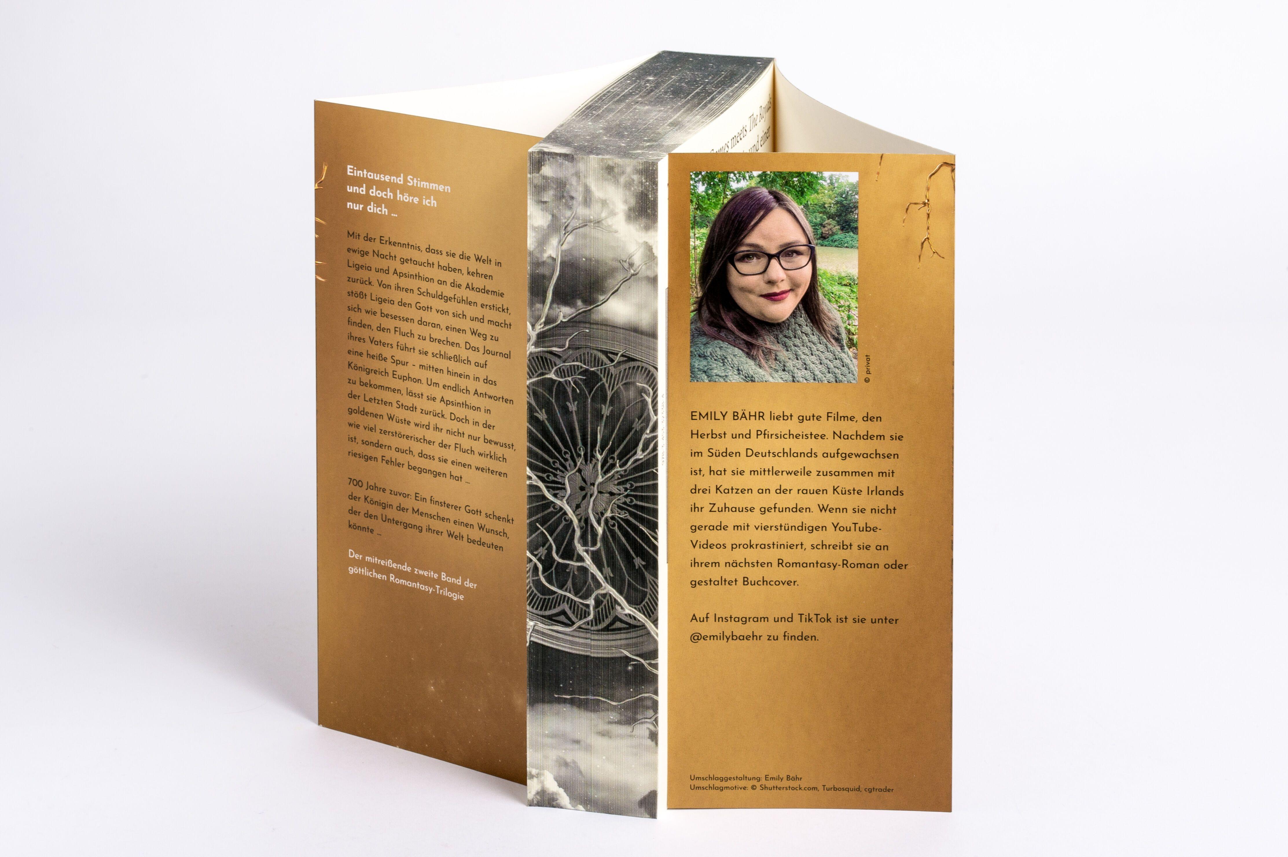 Beispielinhalt (Bild) A Curse so Divine - Der Wunsch, der uns zerreißt