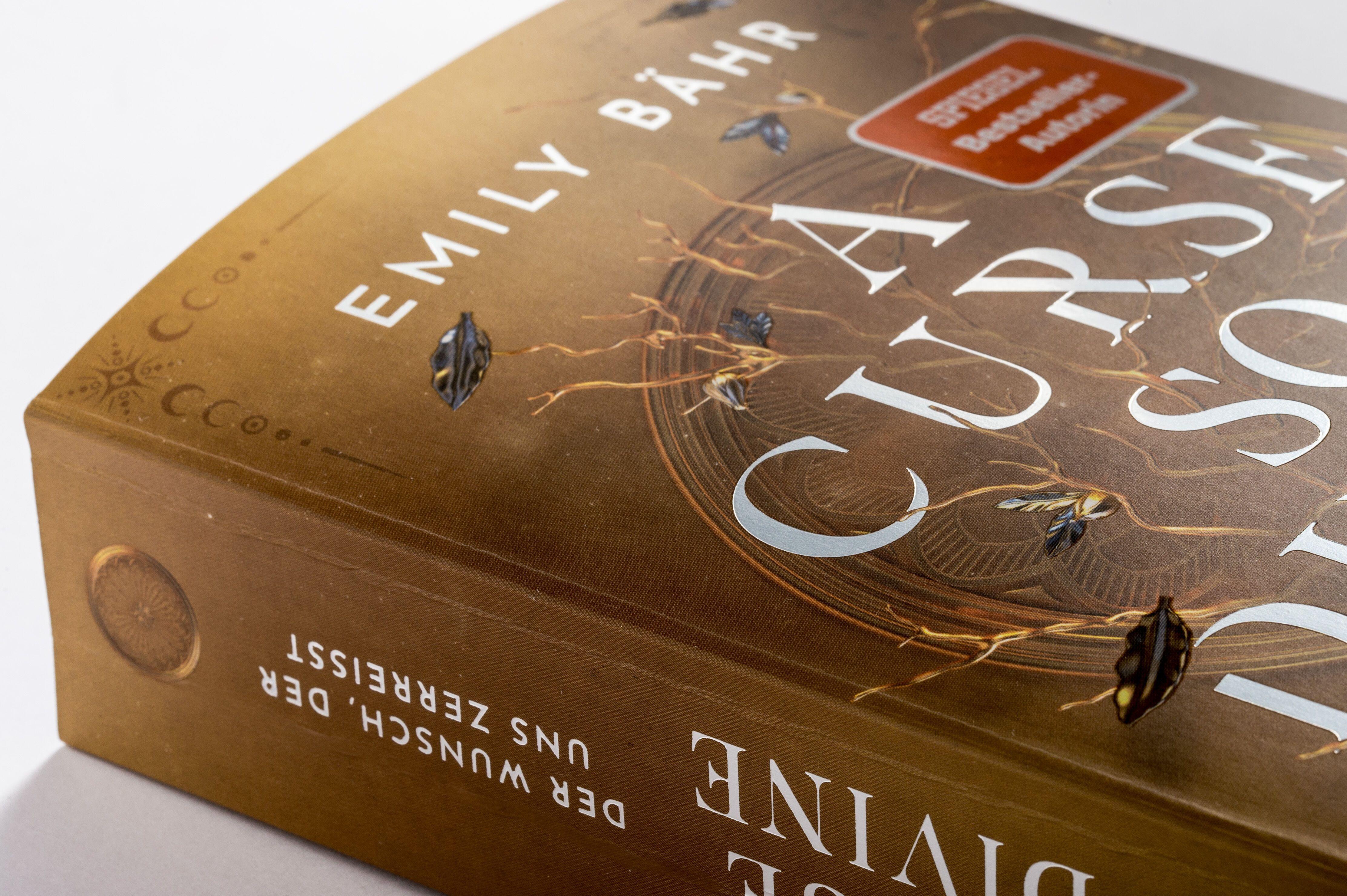 Beispielinhalt (Bild) A Curse so Divine - Der Wunsch, der uns zerreißt