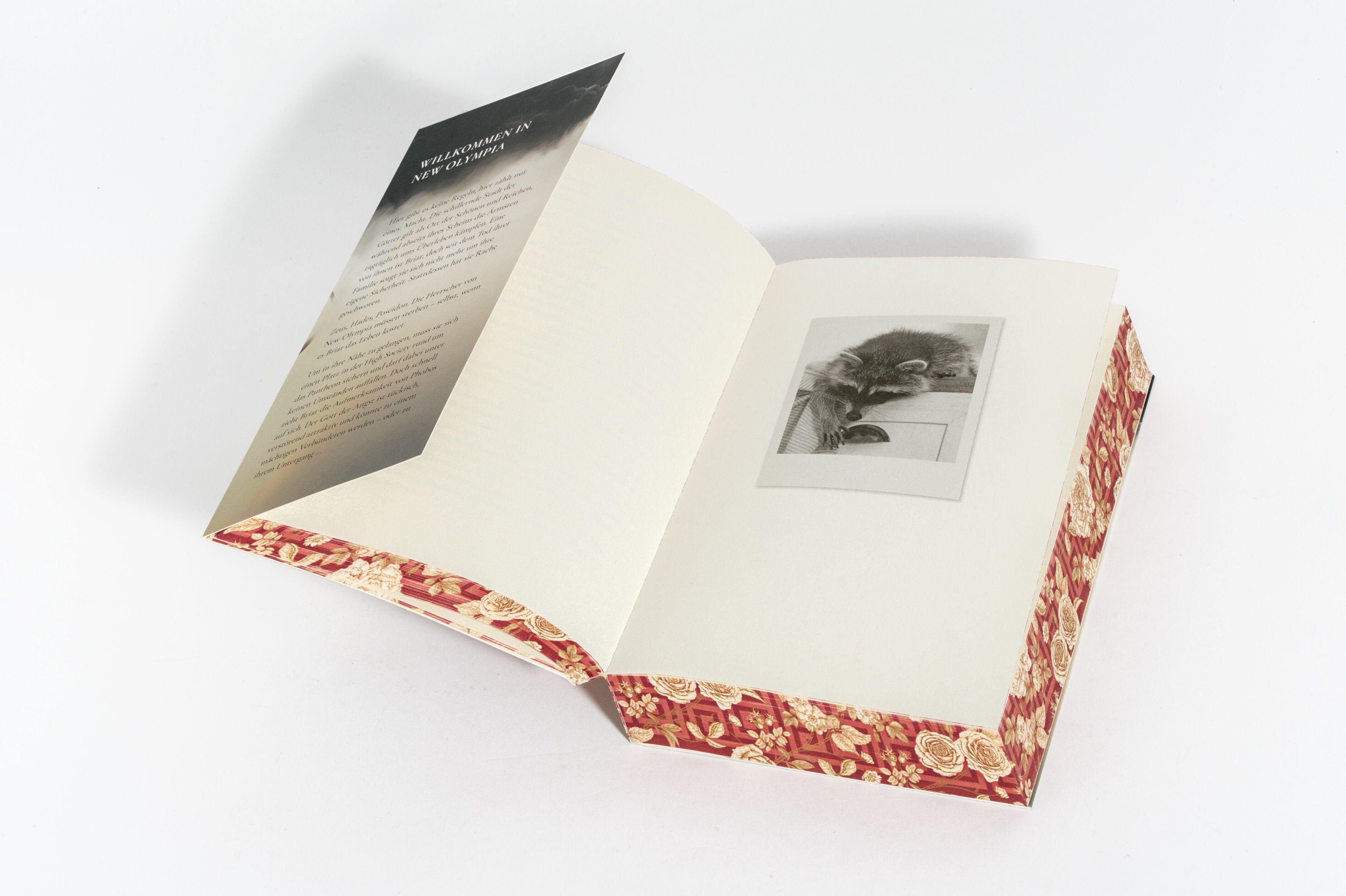 Beispielinhalt (Bild) Gilded Ruin - Gods of New Olympia