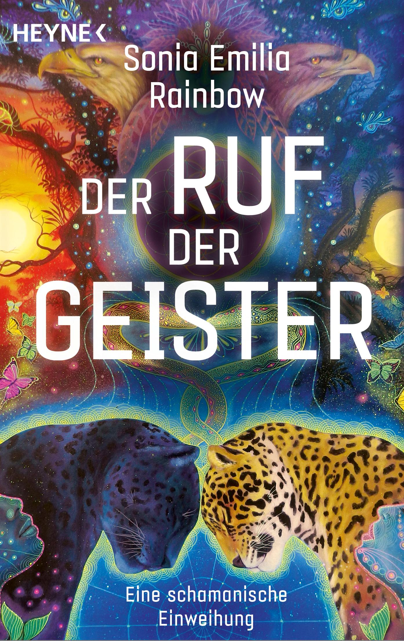 Vorderes Coverbild Der Ruf der Geister