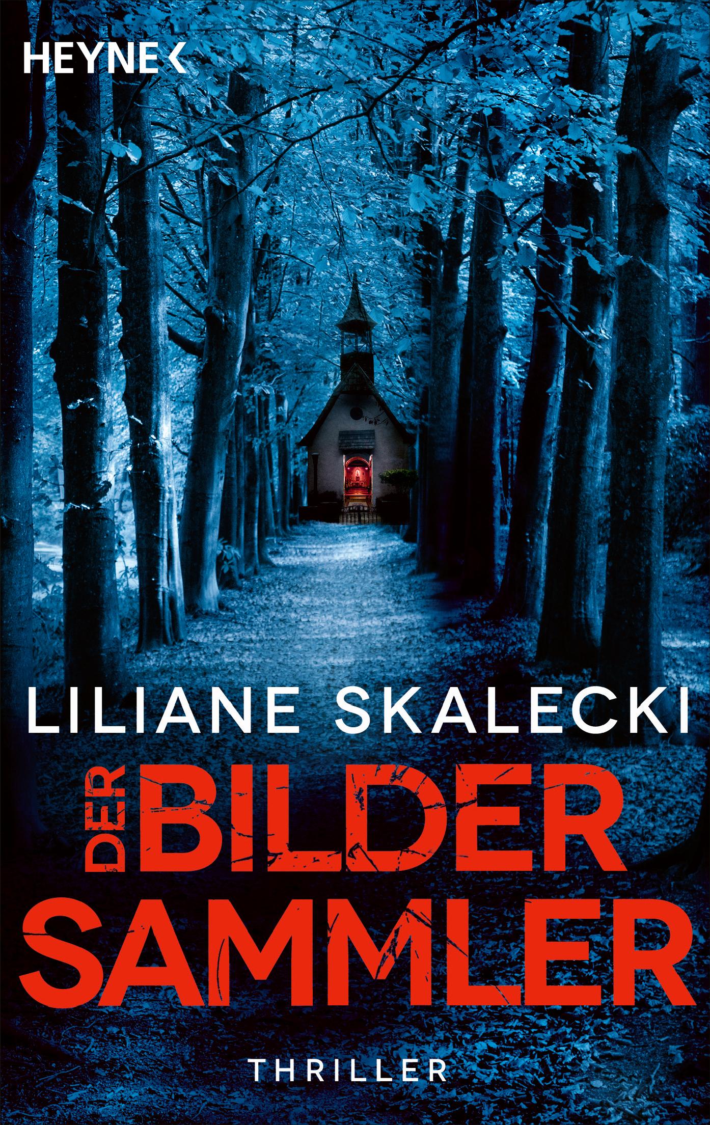 Vorderes Coverbild Der Bildersammler