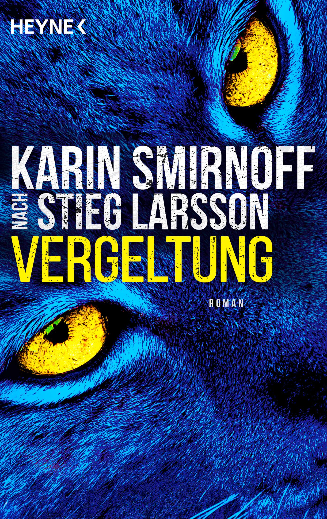 Vorderes Coverbild Vergeltung