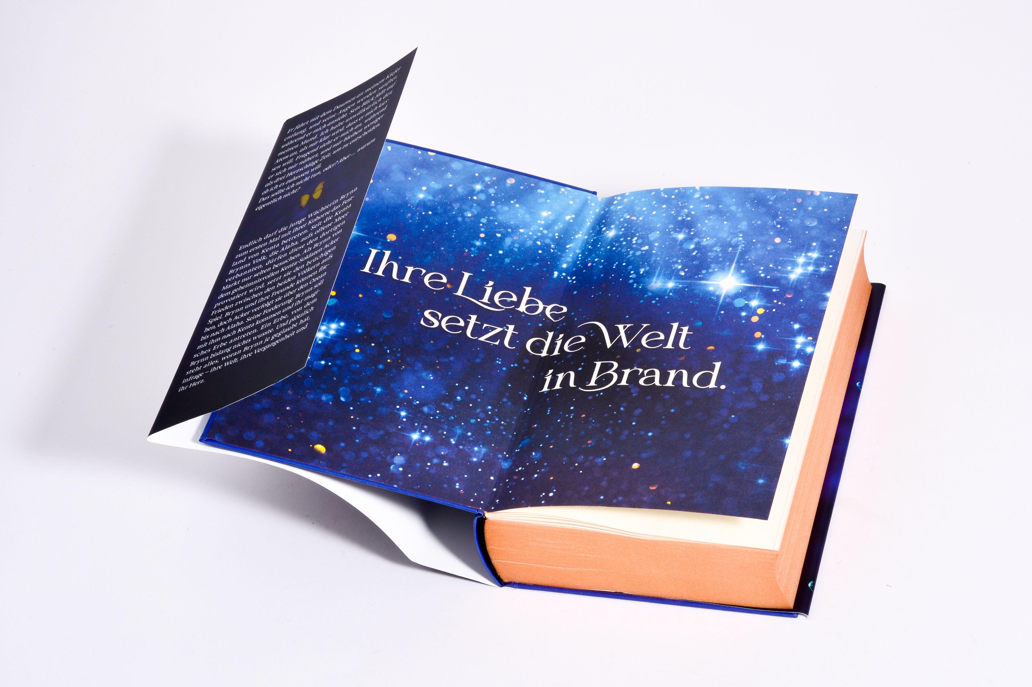 Beispielinhalt (Bild) Metal Slinger - Dunkle Verheißung