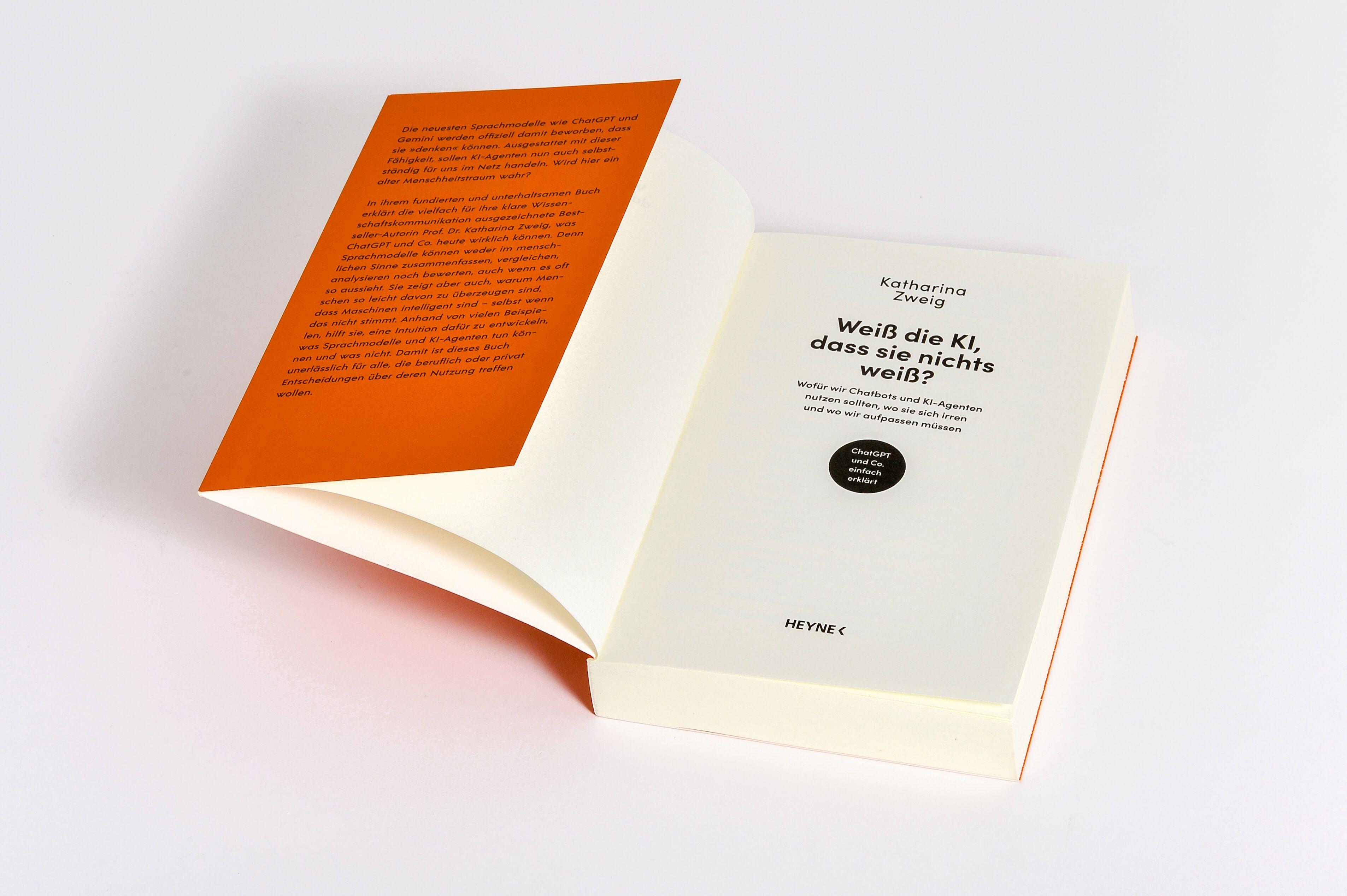 Beispielinhalt (Bild) Weiß die KI, dass sie nichts weiß?