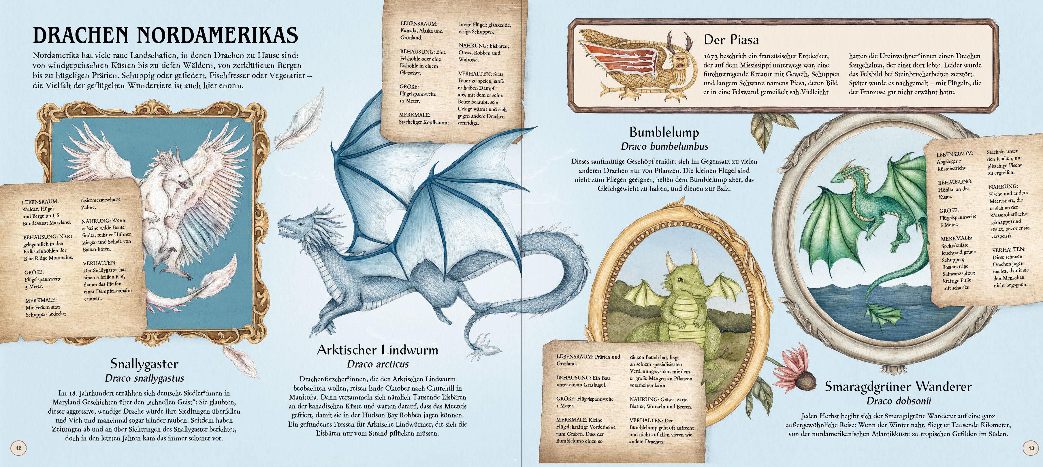 Beispielinhalt (Bild) Das große Handbuch der Drachen