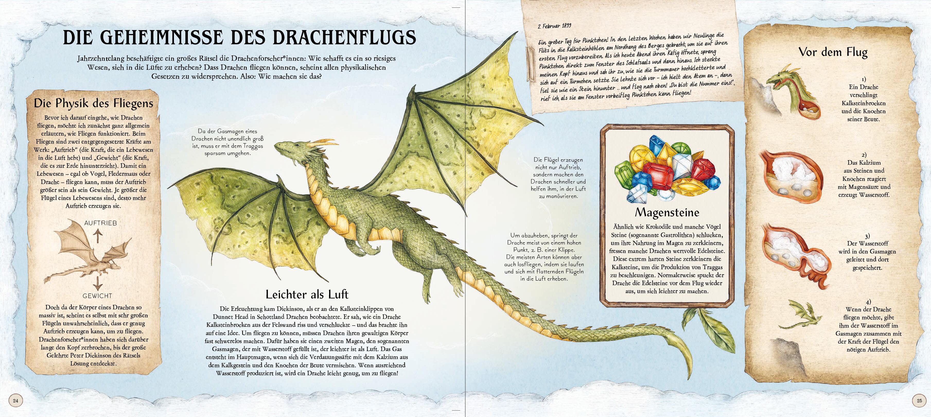 Beispielinhalt (Bild) Das große Handbuch der Drachen