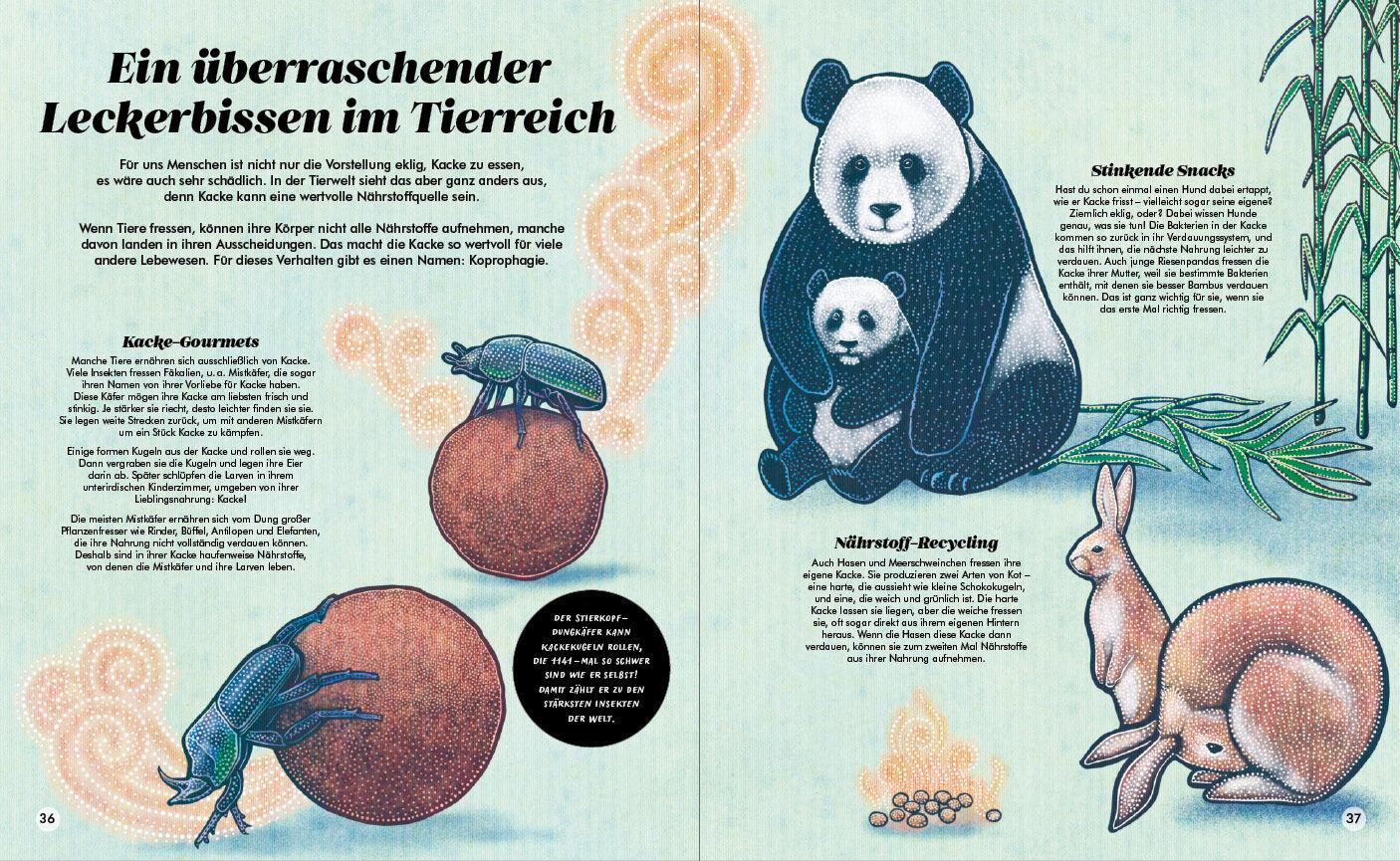 Beispielinhalt (Bild) Kacke