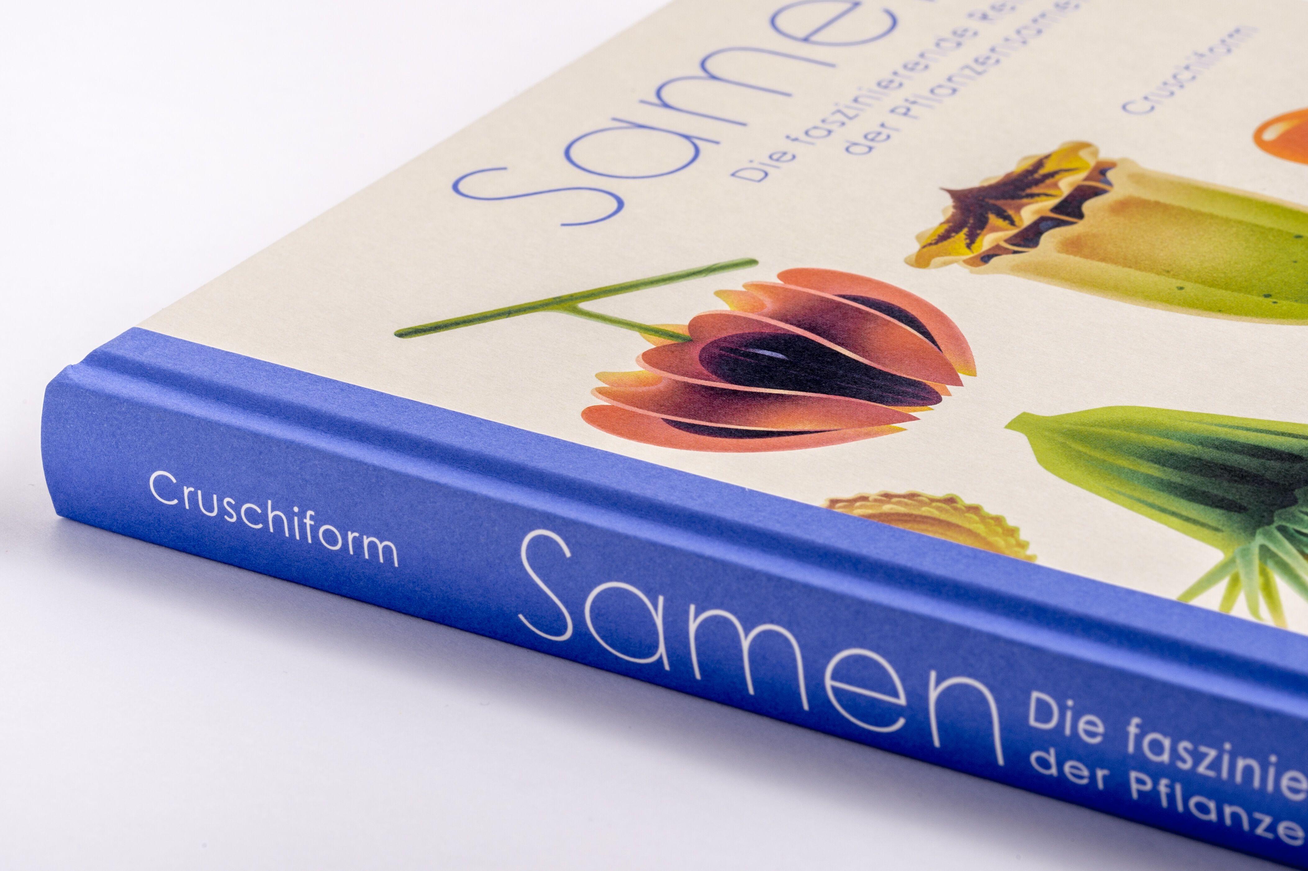 Beispielinhalt (Bild) Samen