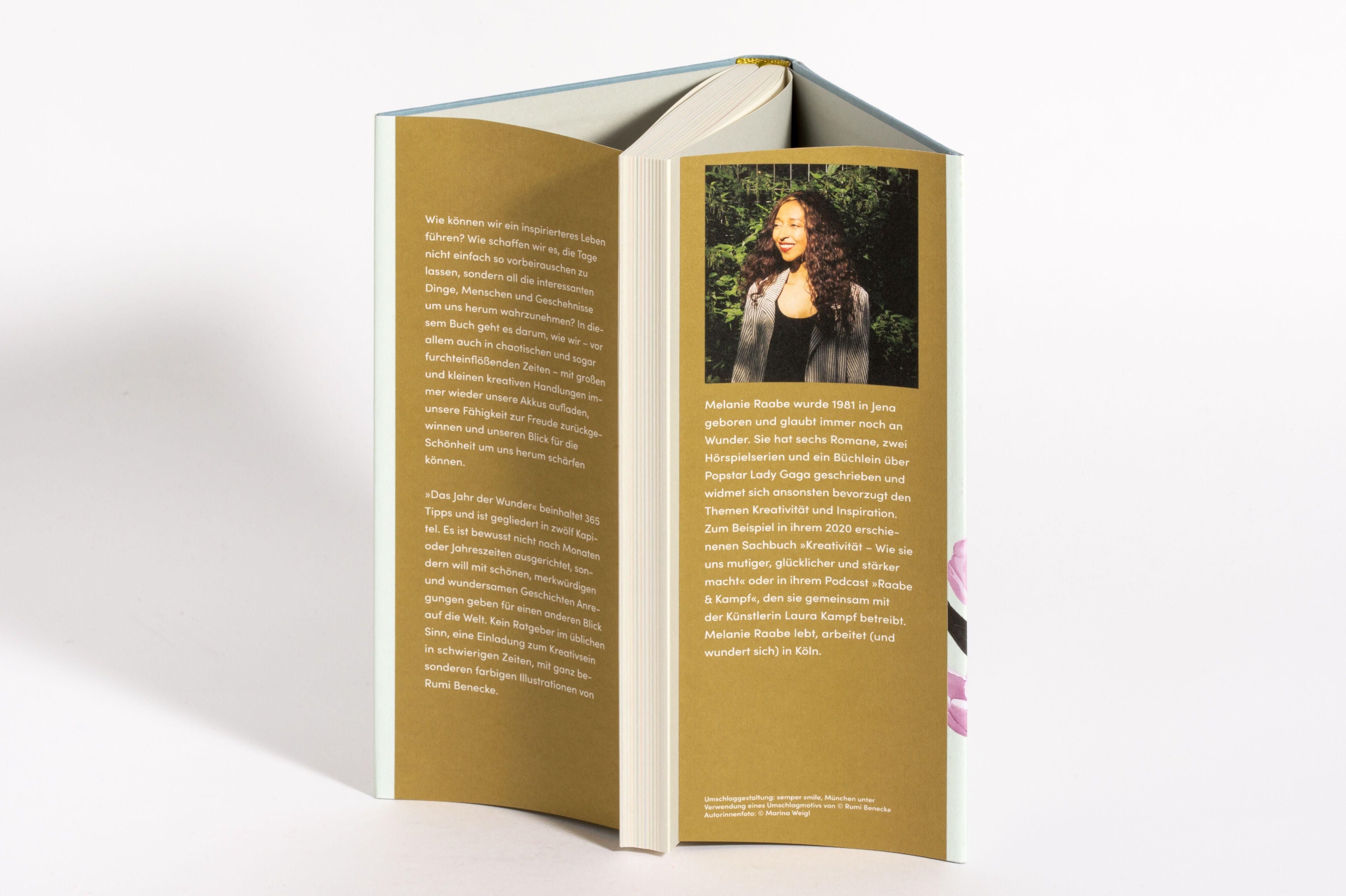 Beispielinhalt (Bild) Das Jahr der Wunder