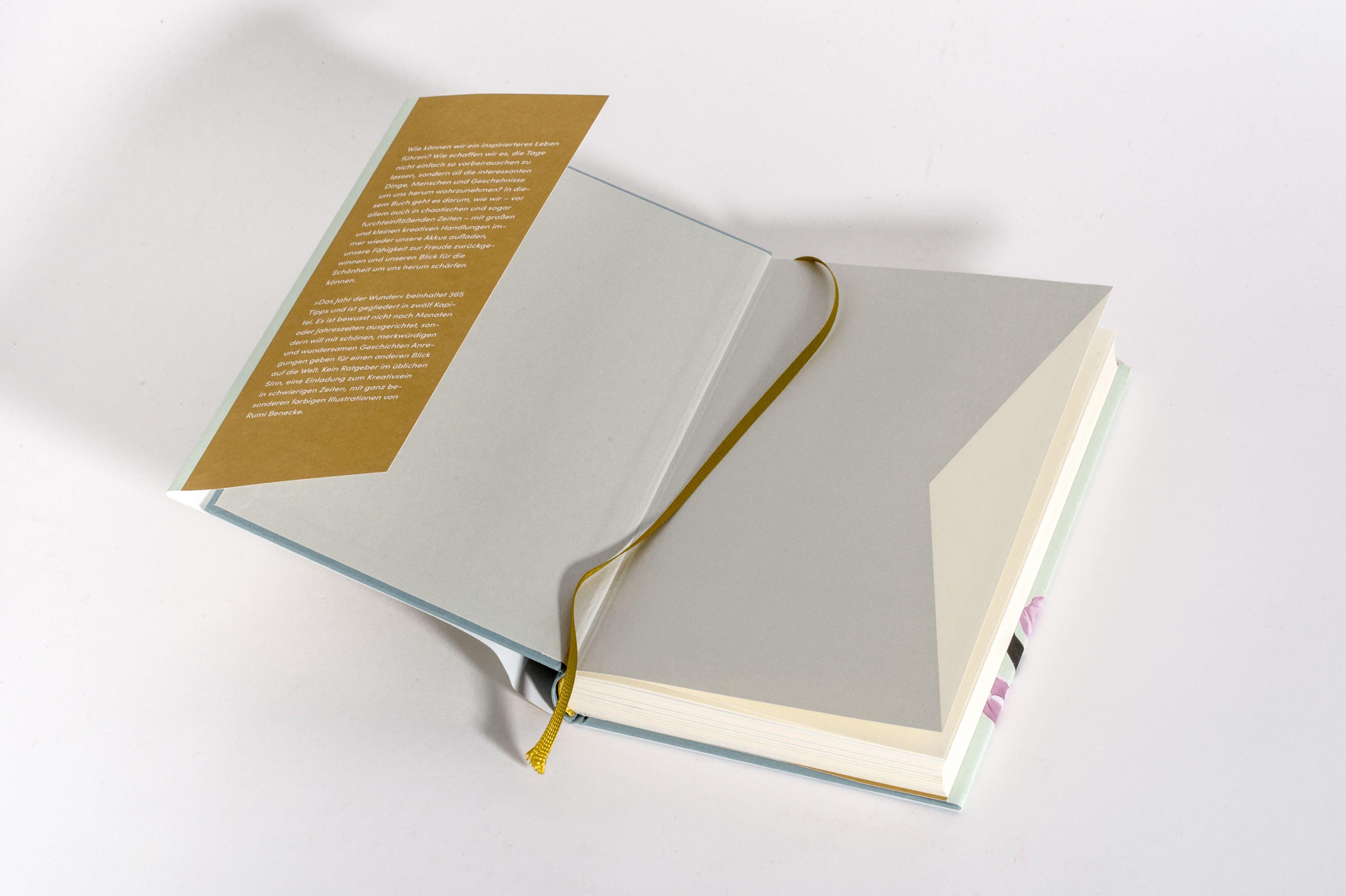 Beispielinhalt (Bild) Das Jahr der Wunder