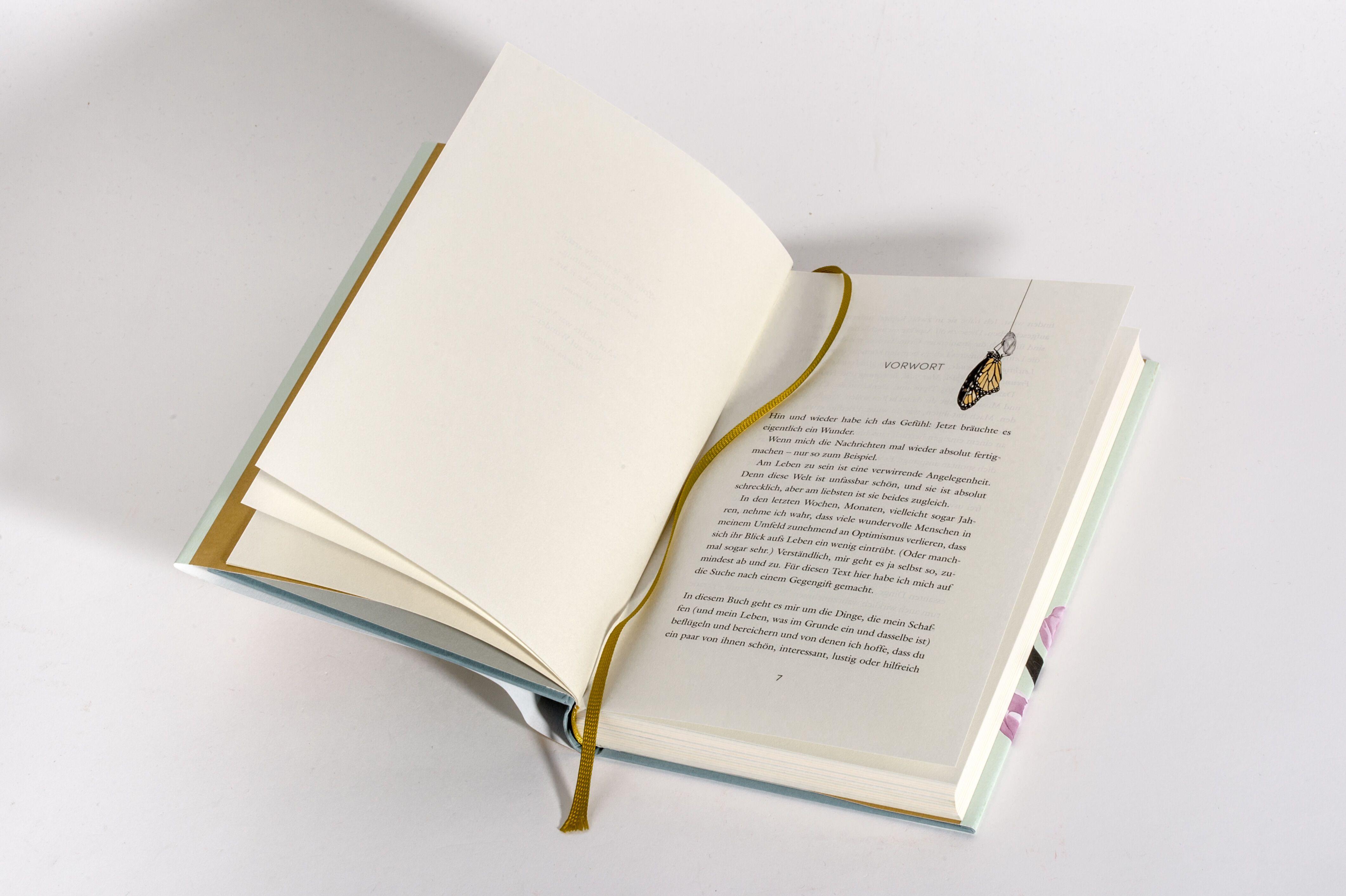 Beispielinhalt (Bild) Das Jahr der Wunder