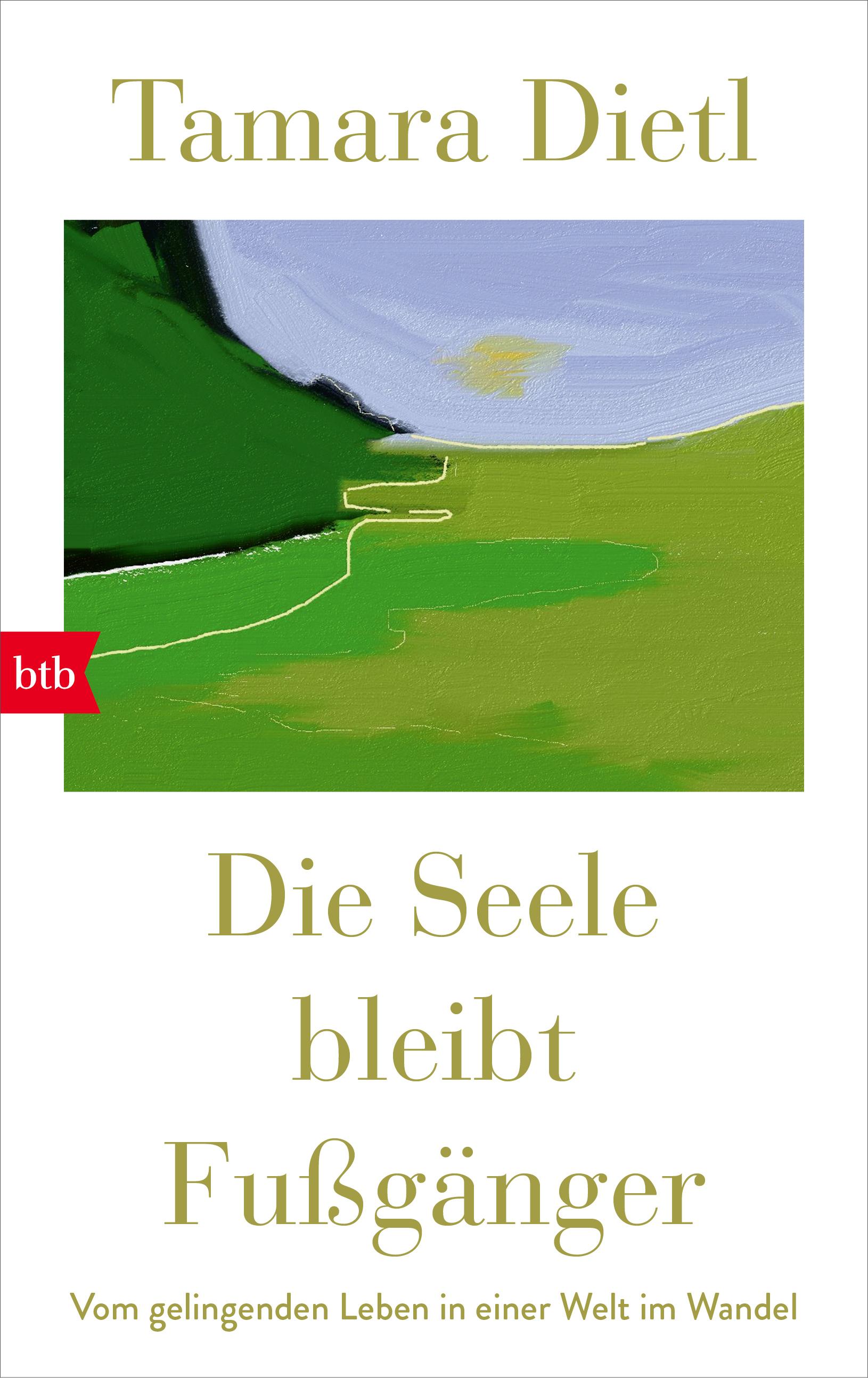 Vorderes Coverbild Die Seele bleibt Fußgänger