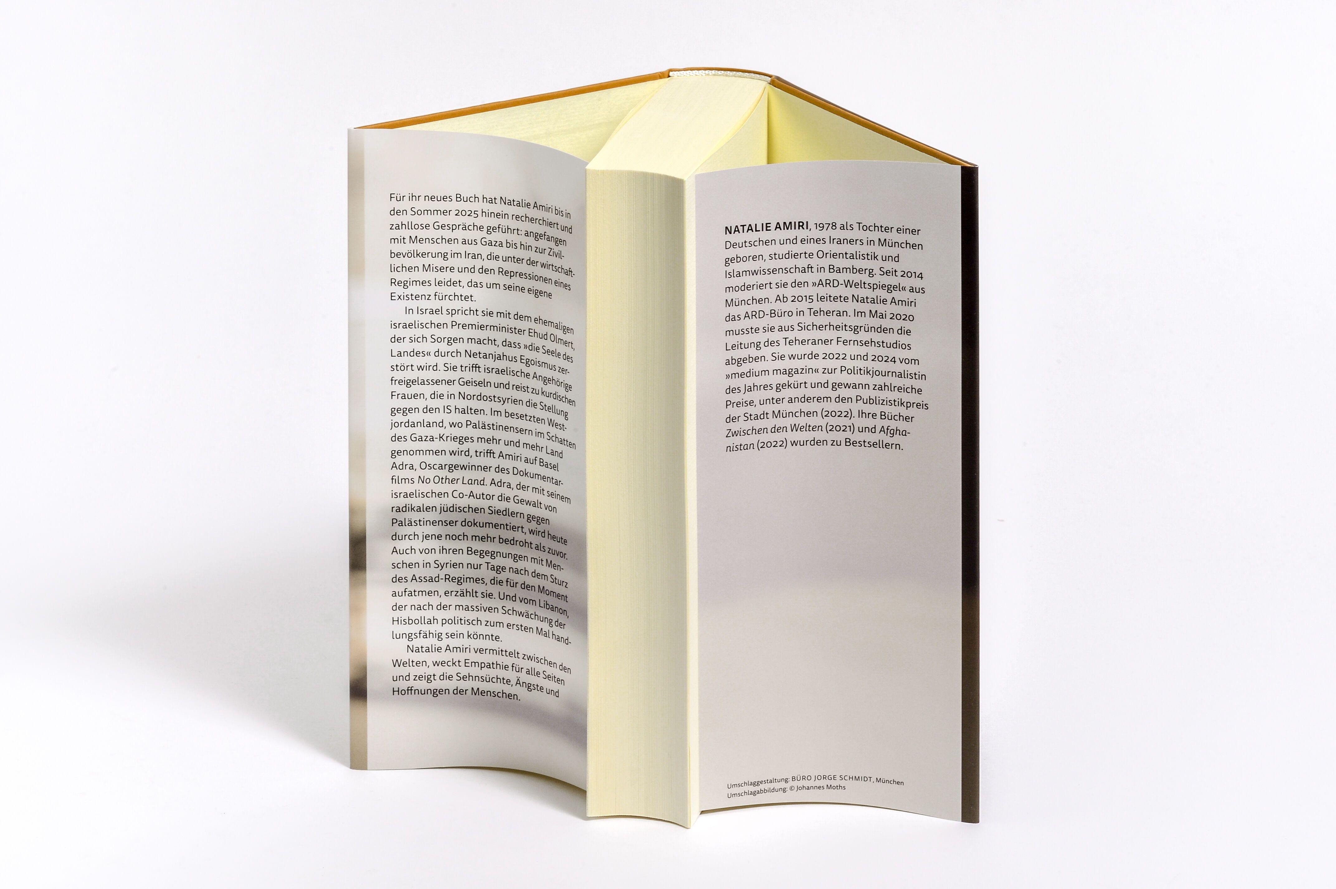 Beispielinhalt (Bild) Der Nahost-Komplex