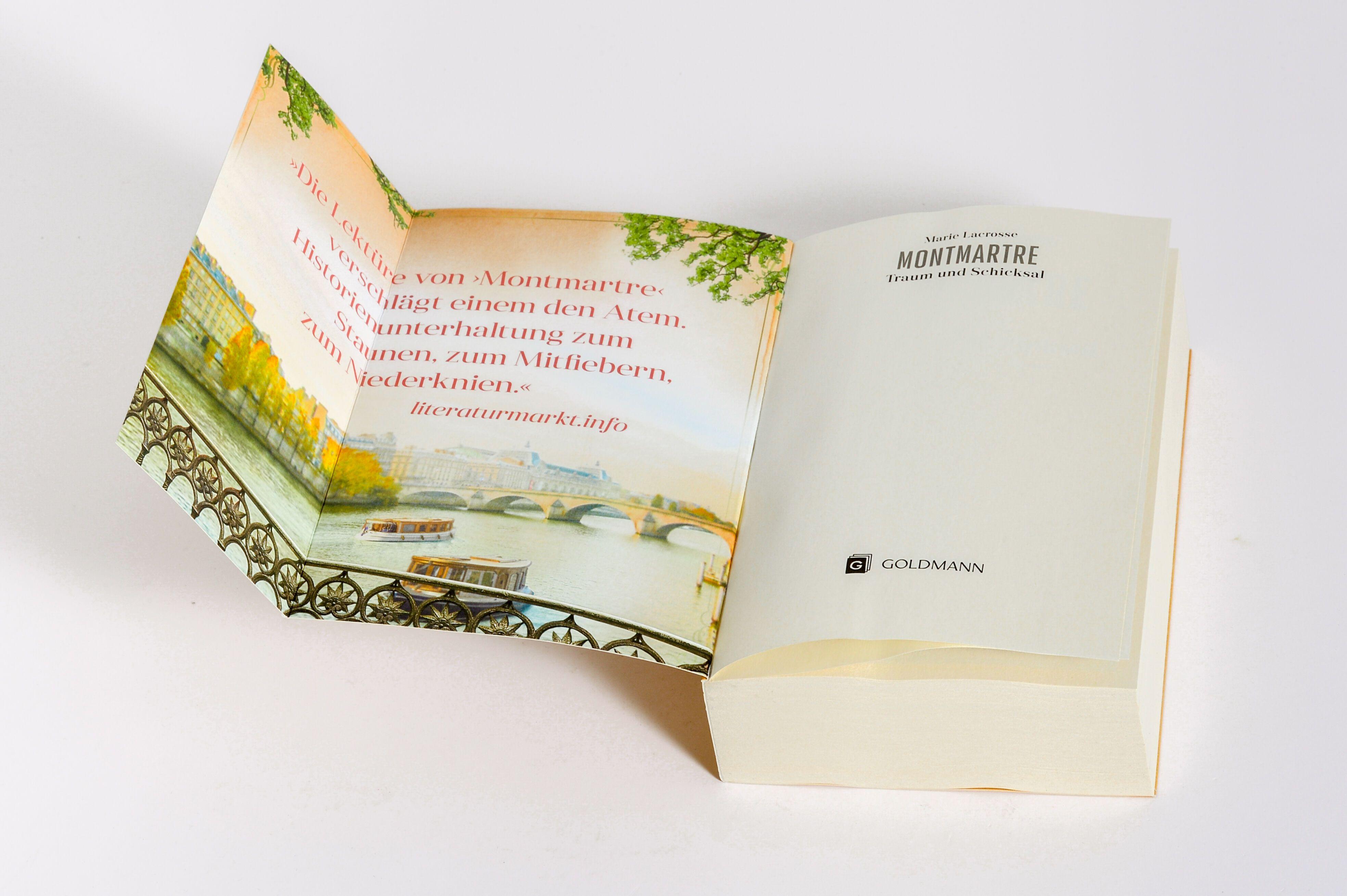 Beispielinhalt (Bild) Montmartre - Traum und Schicksal