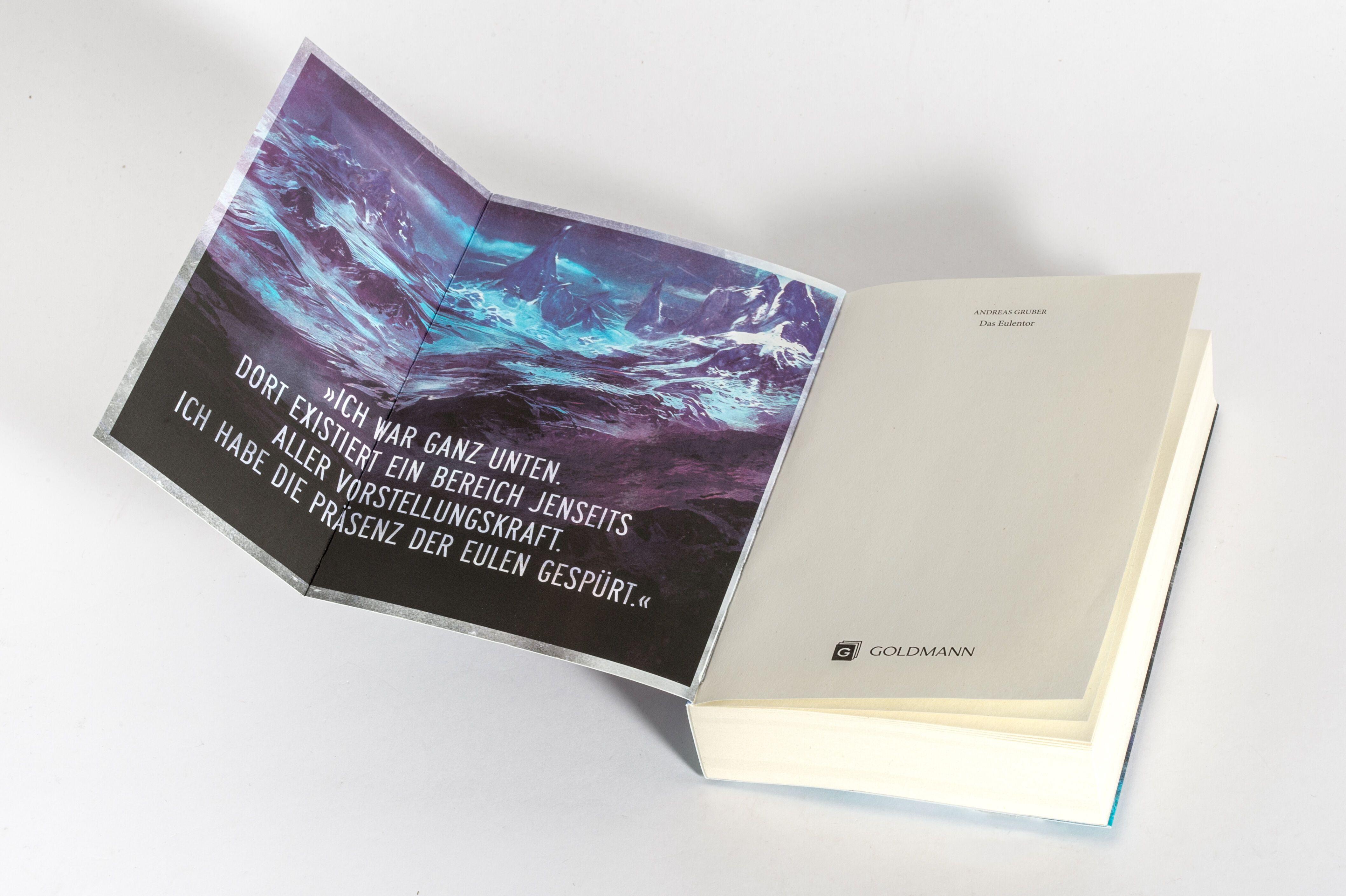 Beispielinhalt (Bild) Das Eulentor